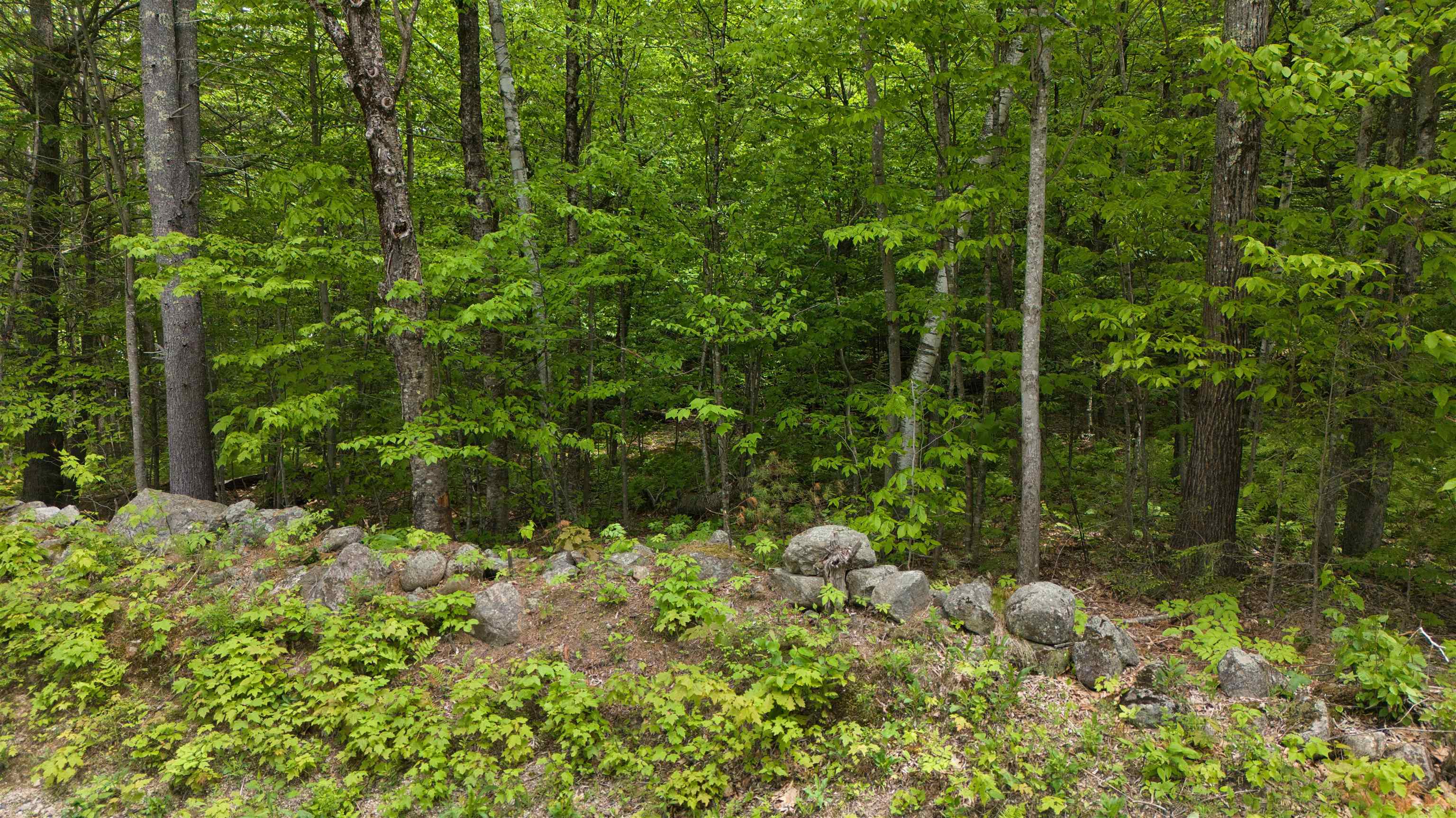 Lot 13 Beach Pond Road Property Photo 14