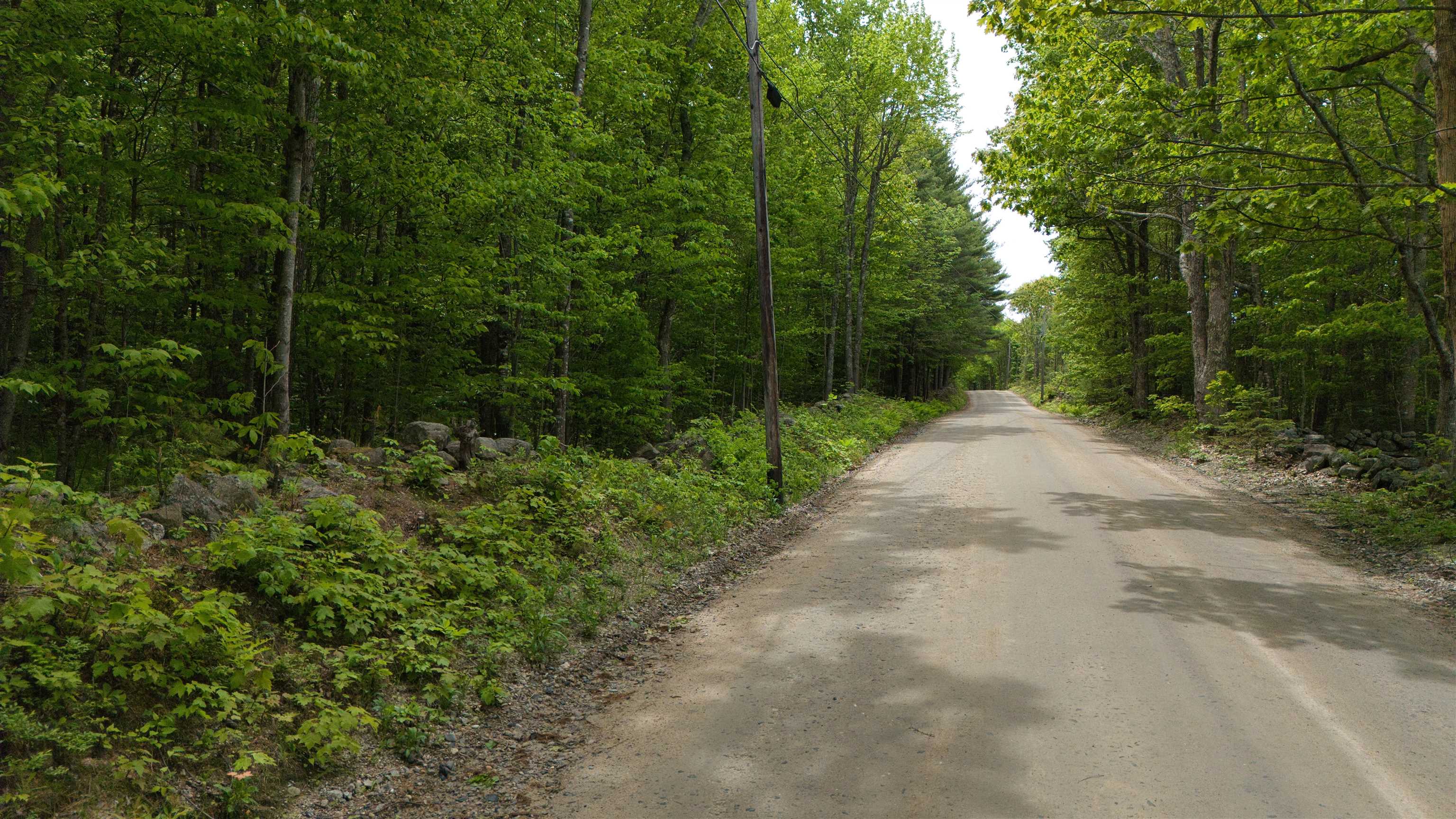 Lot 13 Beach Pond Road Property Photo 15