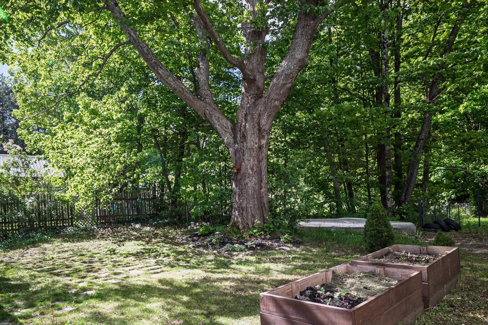 6 Weston Street Property Photo 31