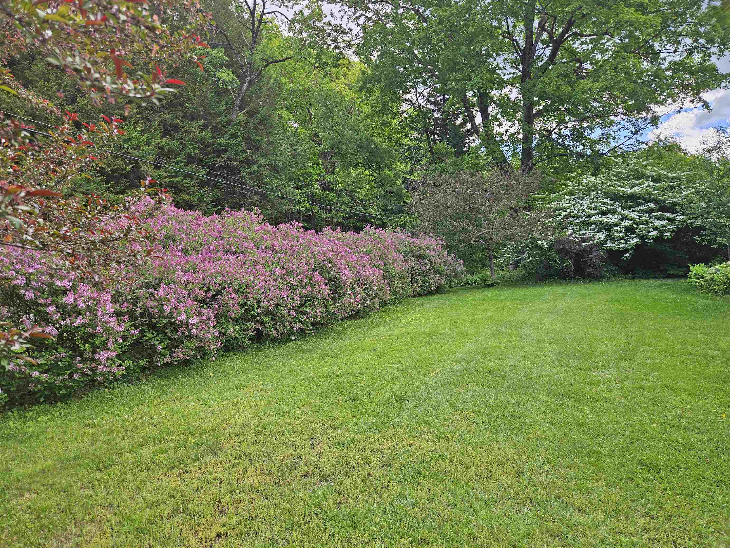 3924 Sweet Pond Road Property Photo 16
