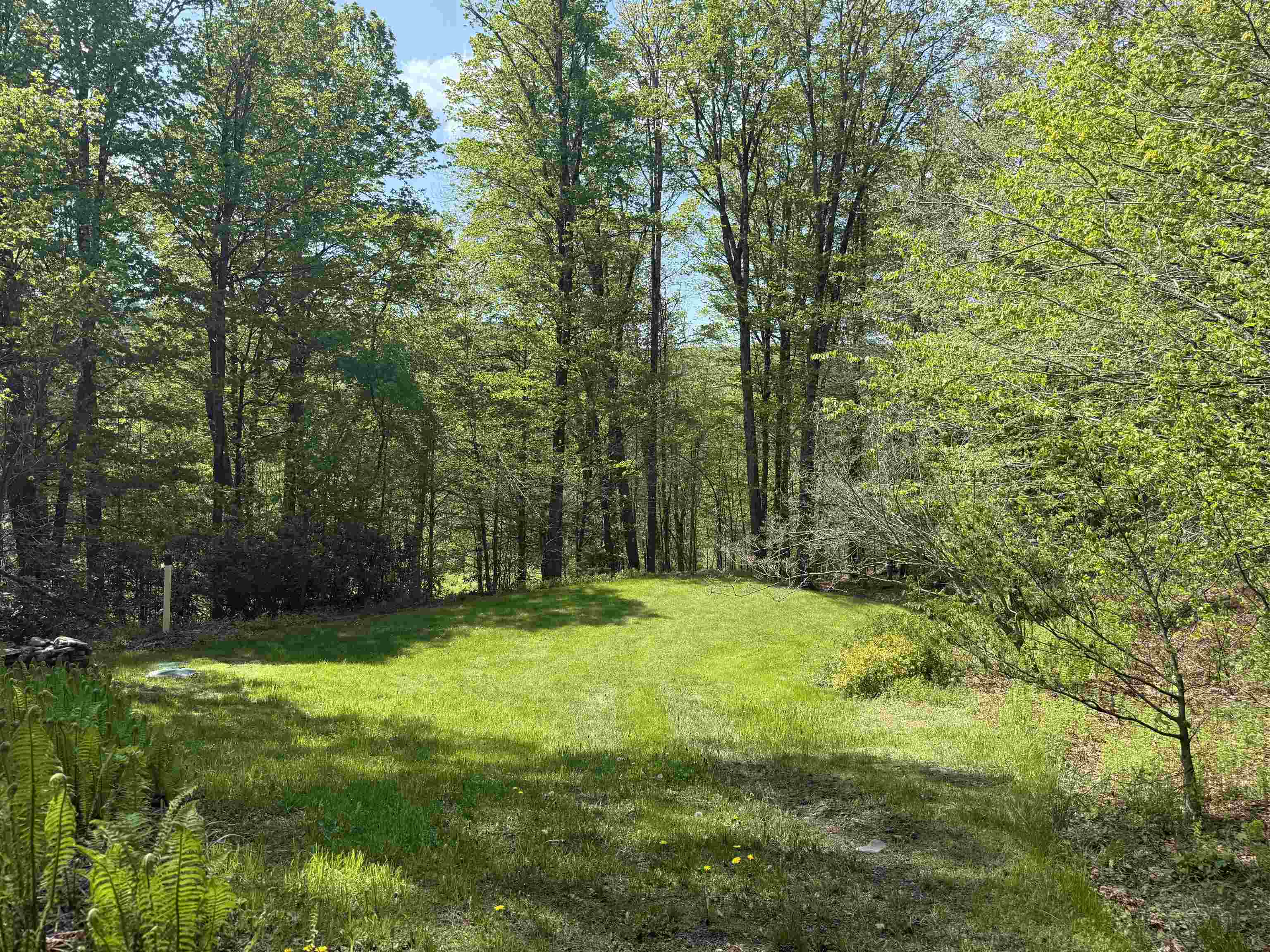 800 Hubbard Hill Property Photo 11