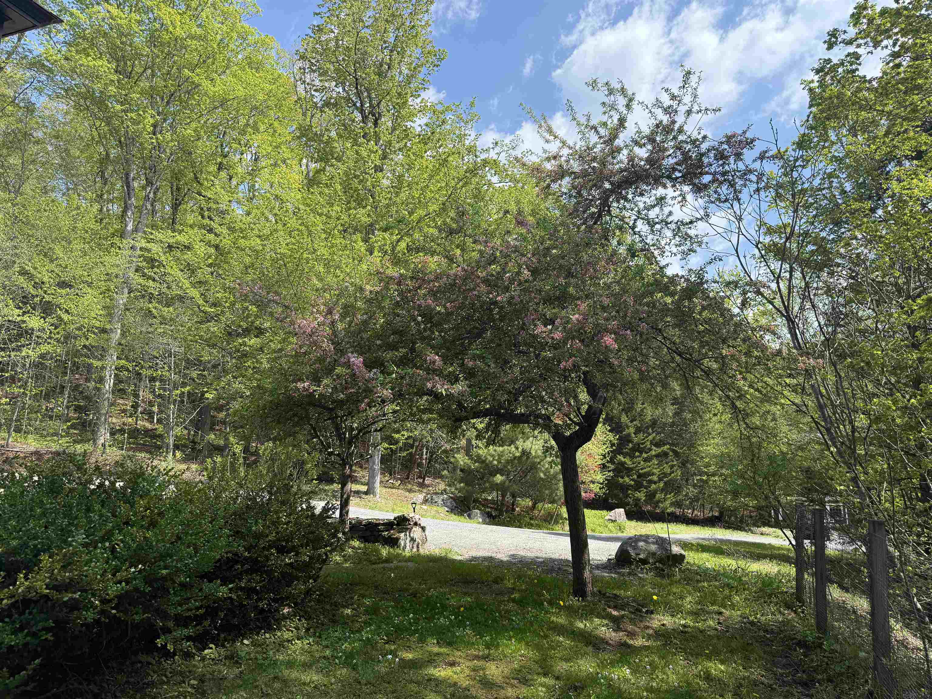 800 Hubbard Hill Property Photo 14