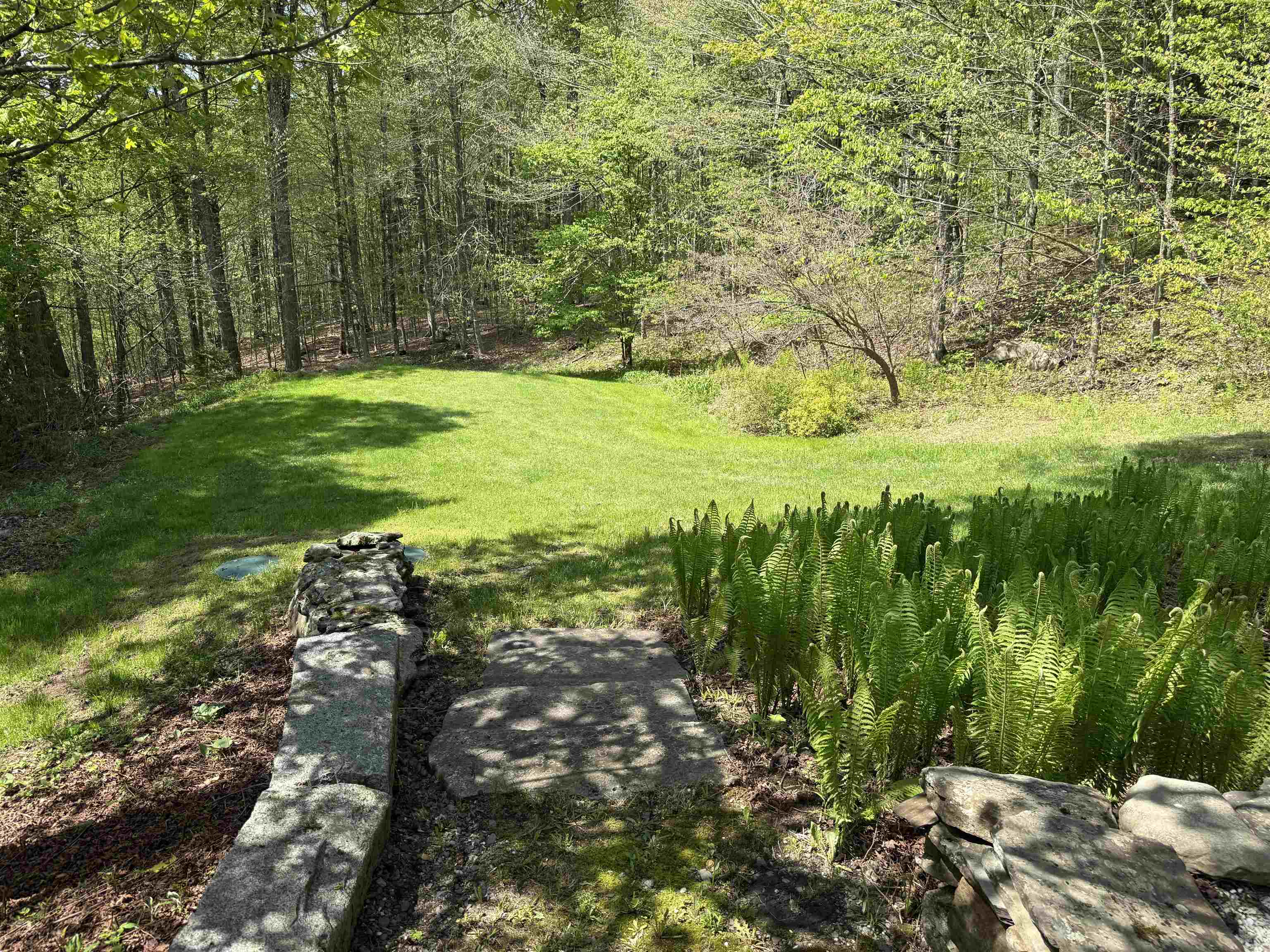 800 Hubbard Hill Property Photo 15