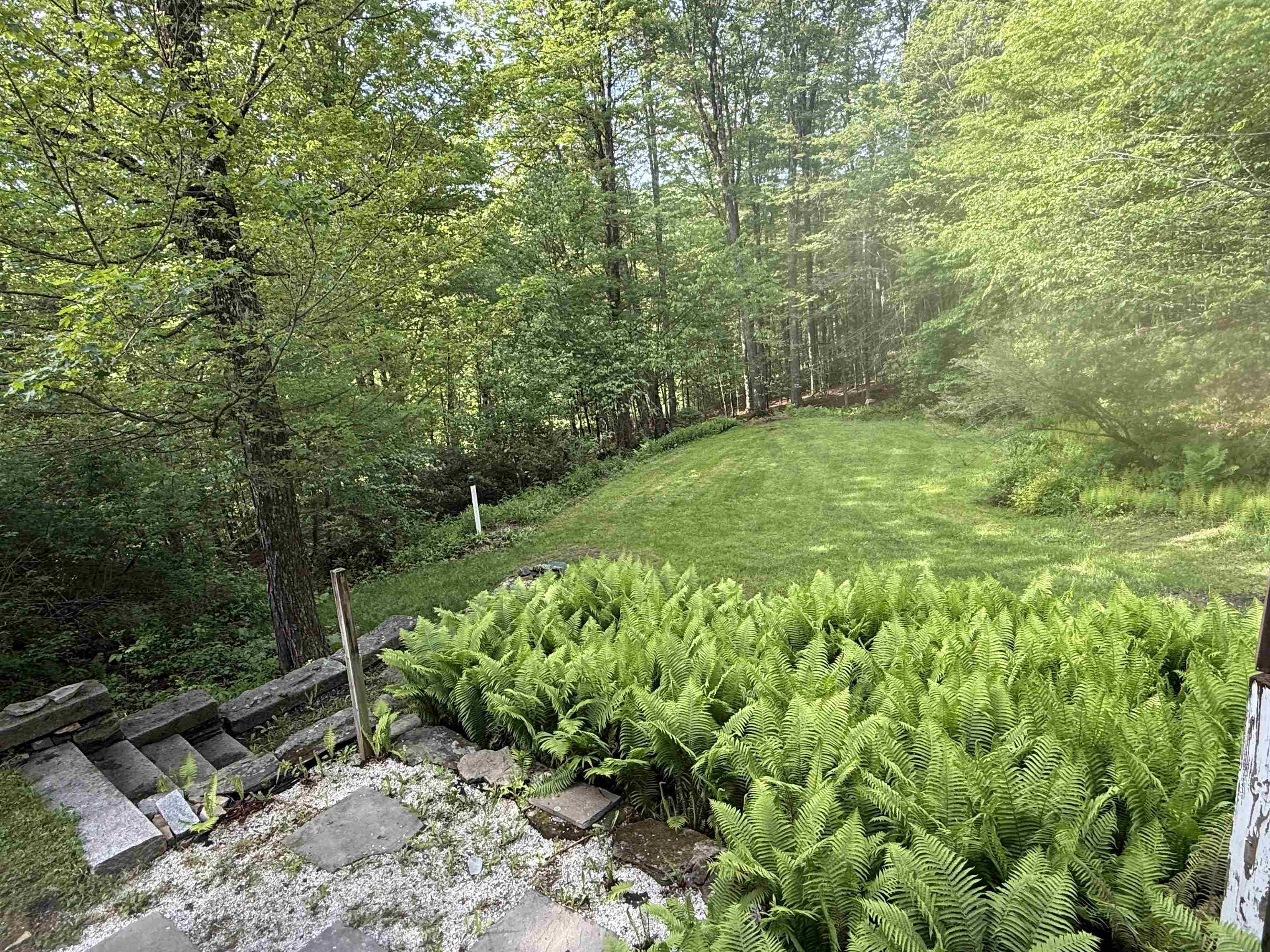 800 Hubbard Hill Property Photo 16