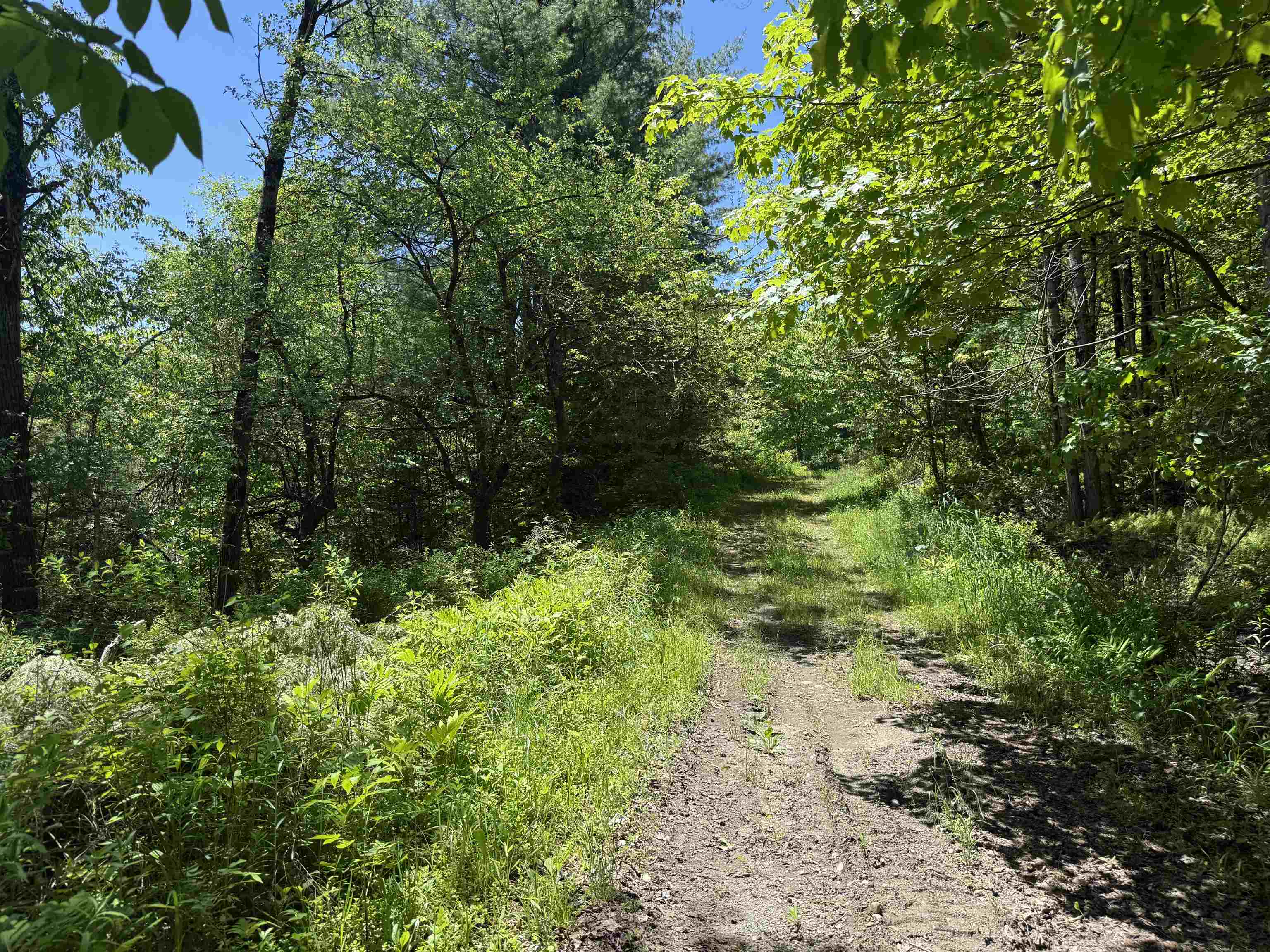 800 Hubbard Hill Property Photo 19