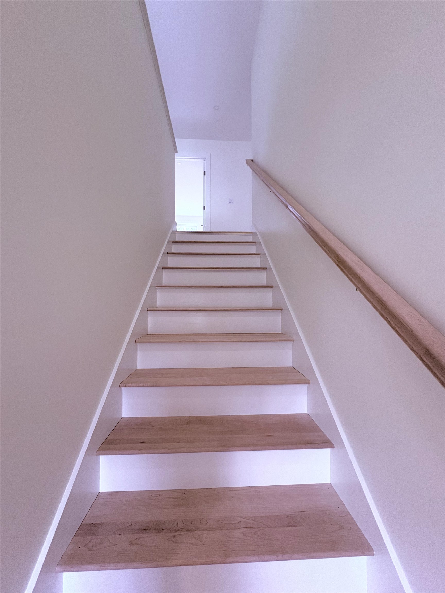 10 Charlotte Drive Property Photo 9