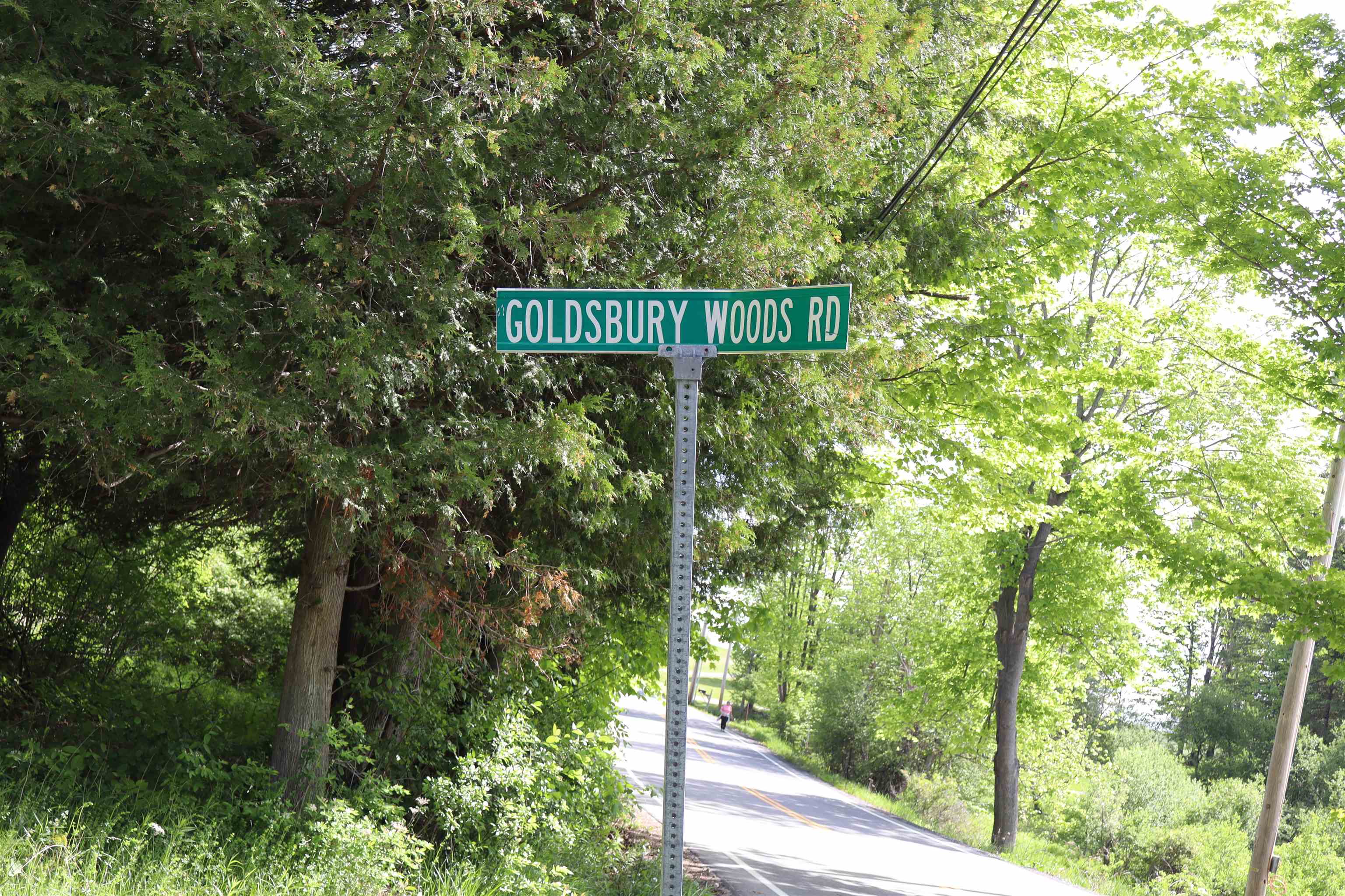 8 Goldsbury Woods Road Property Photo 1