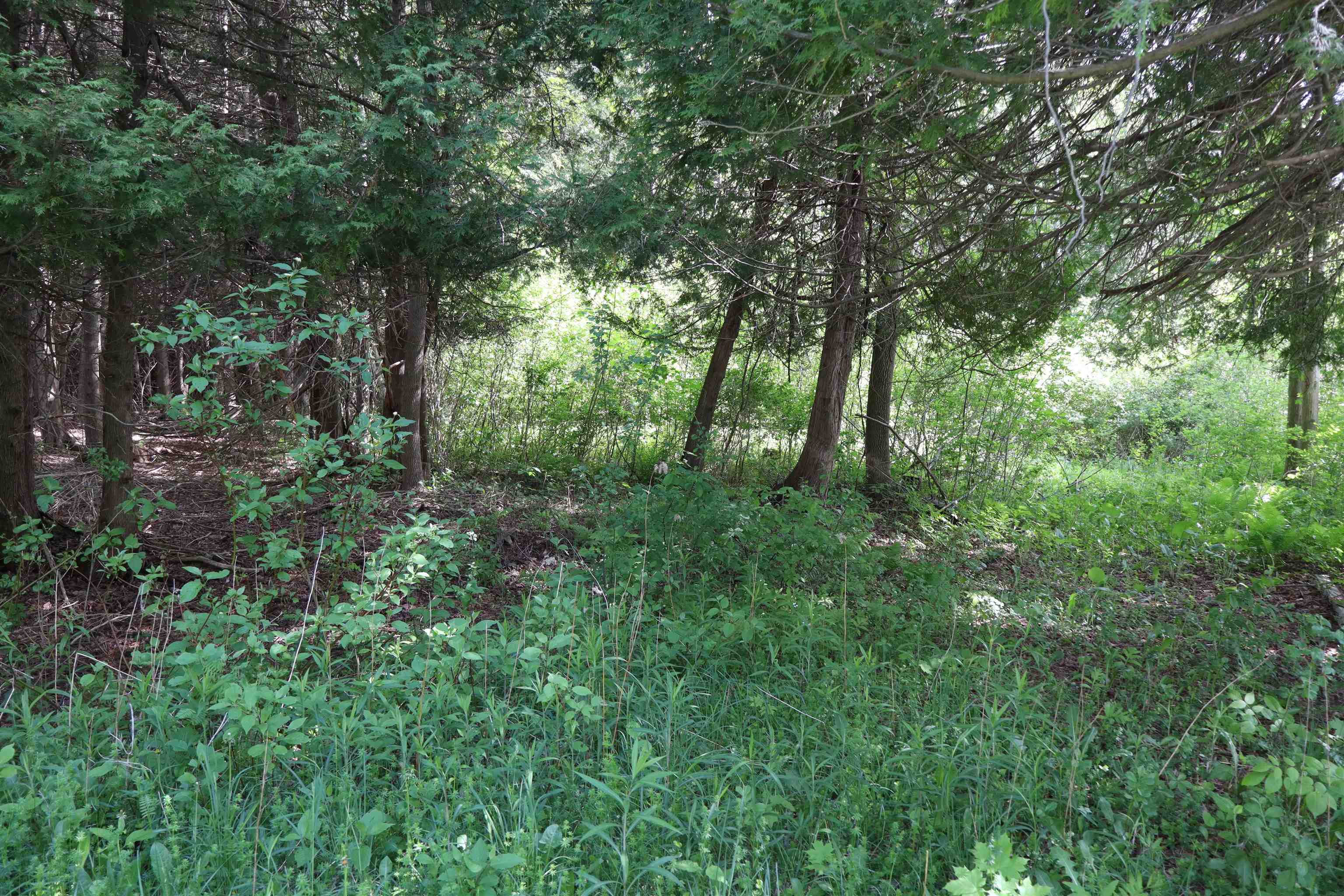 8 Goldsbury Woods Road Property Photo 7