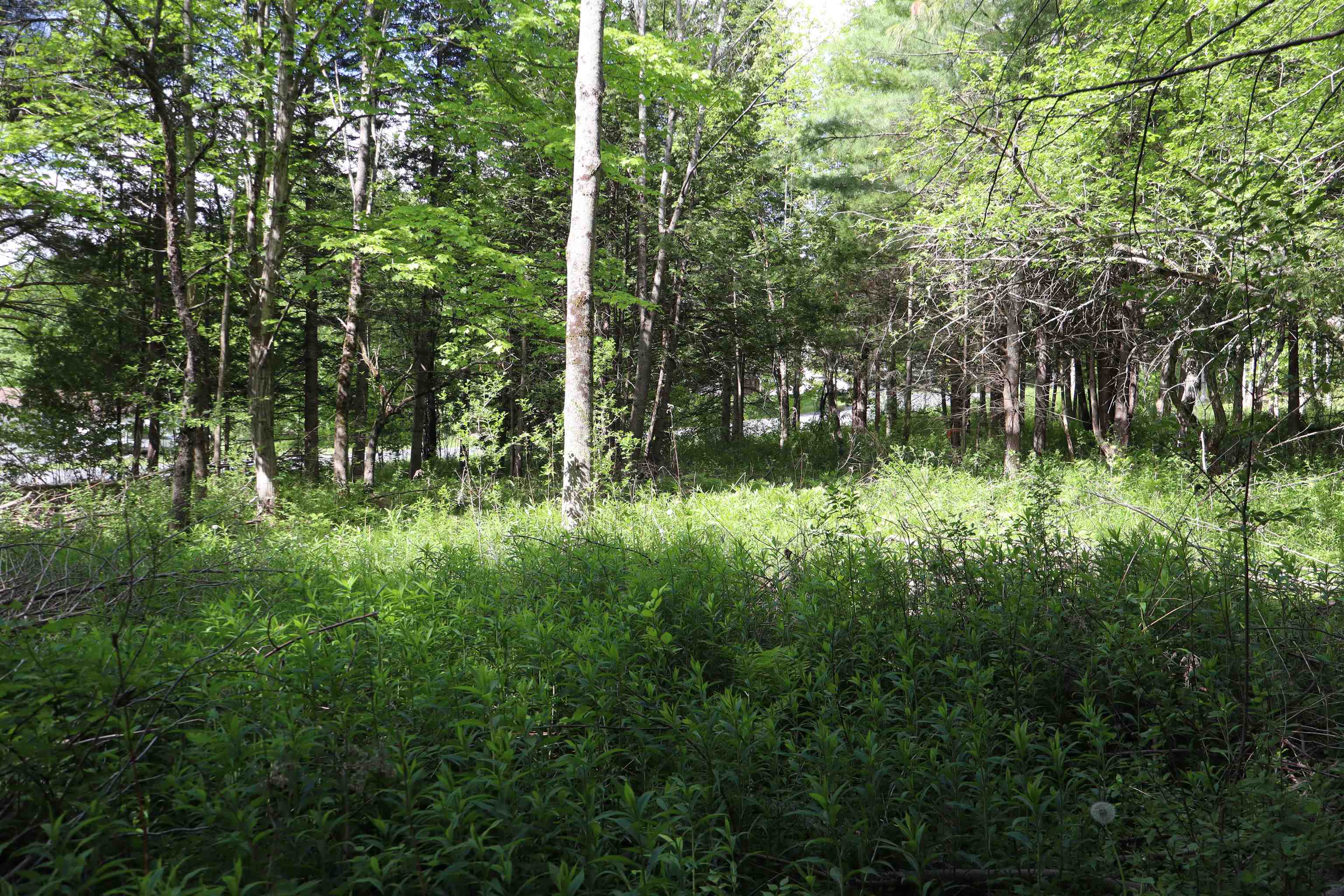 8 Goldsbury Woods Road Property Photo 8