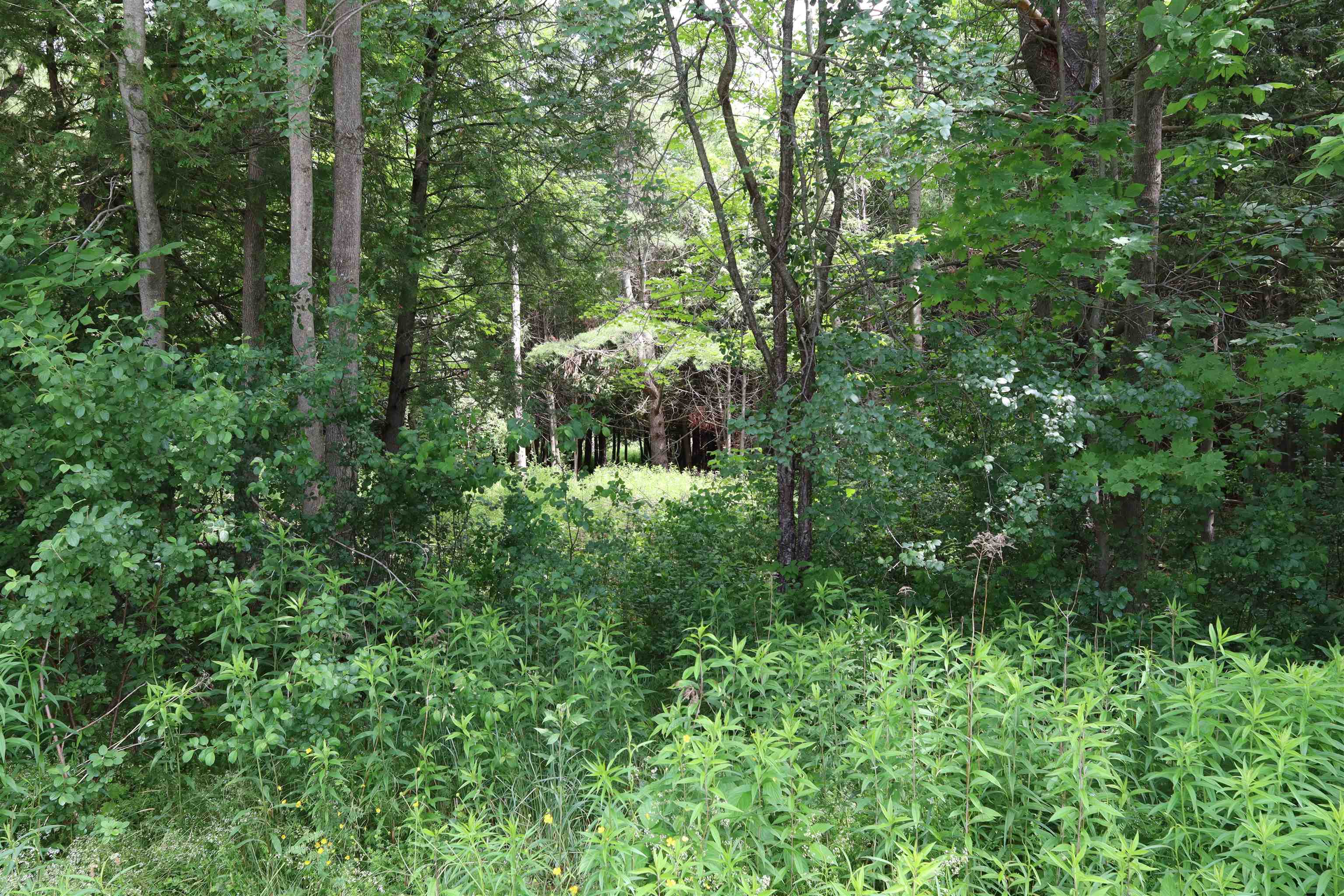 8 Goldsbury Woods Road Property Photo 11