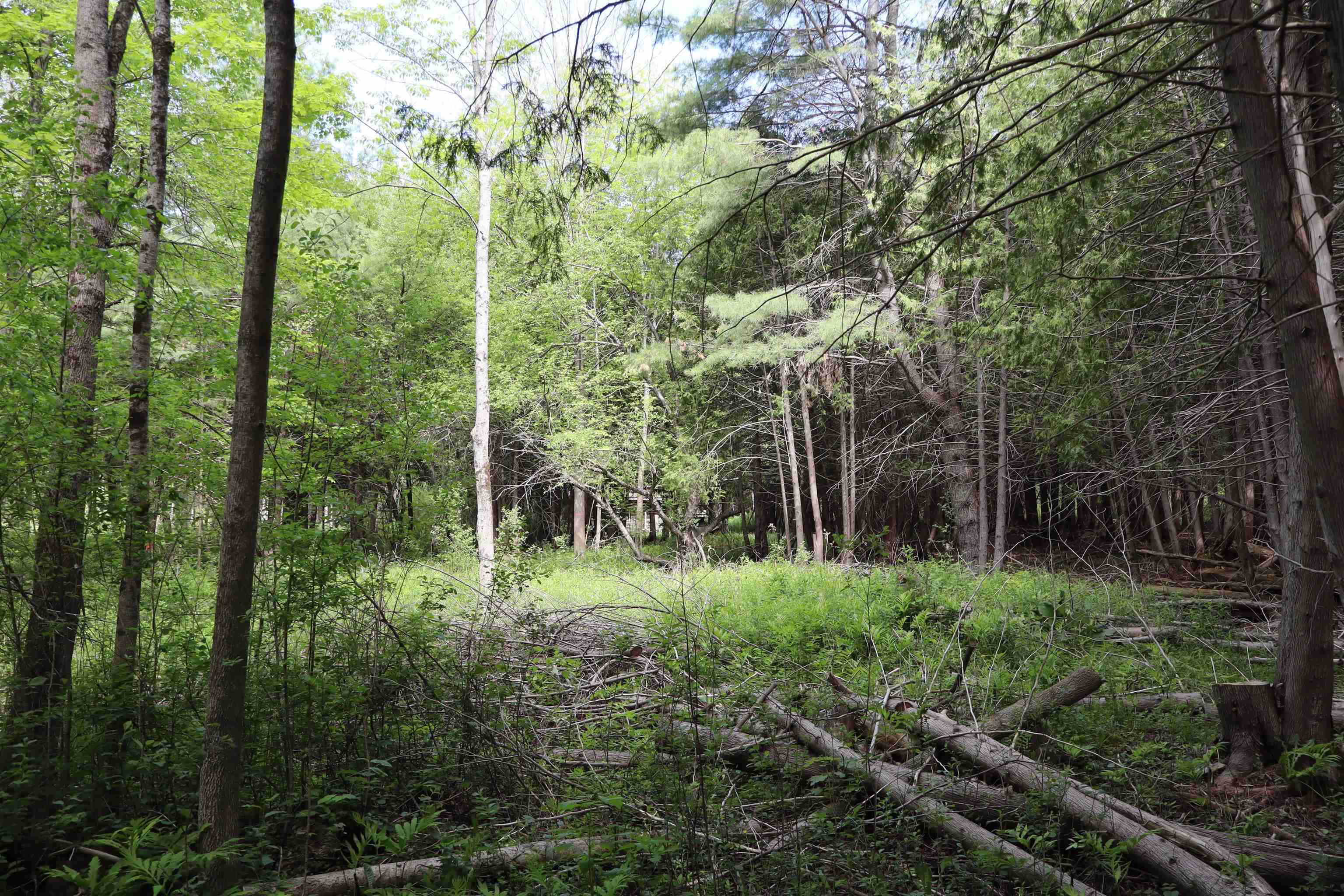 8 Goldsbury Woods Road Property Photo 12