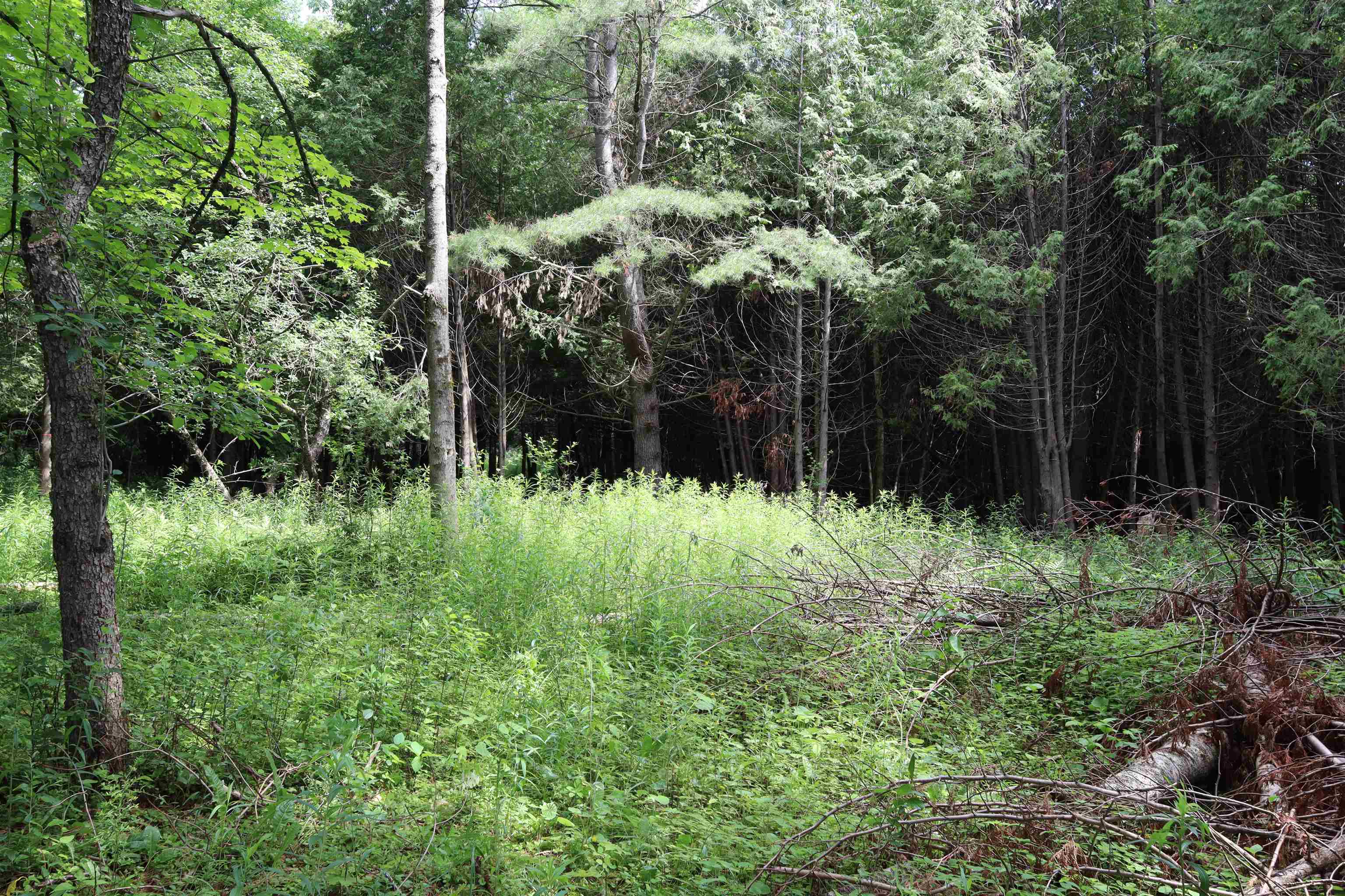 8 Goldsbury Woods Road Property Photo 16