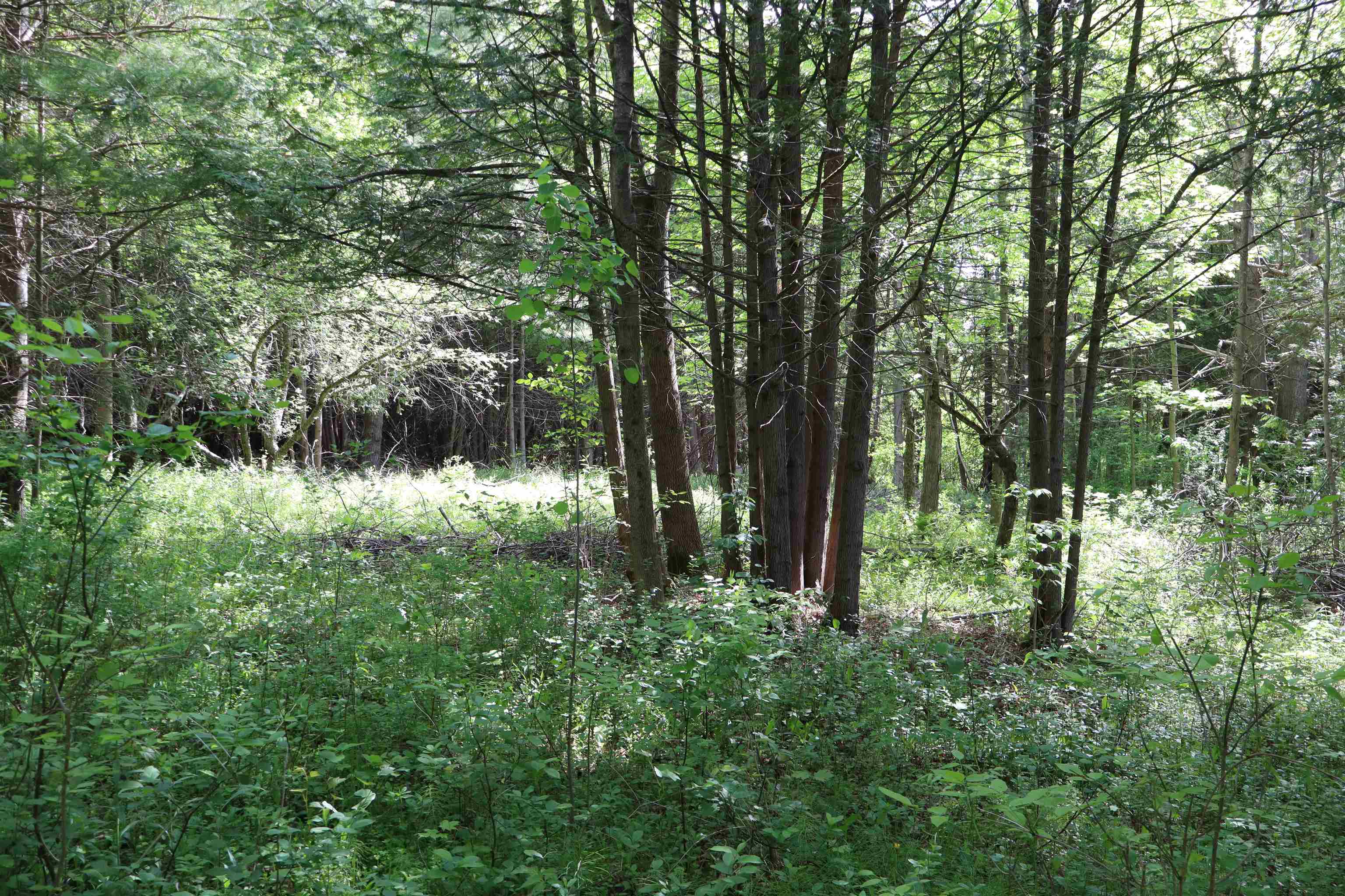 8 Goldsbury Woods Road Property Photo 17