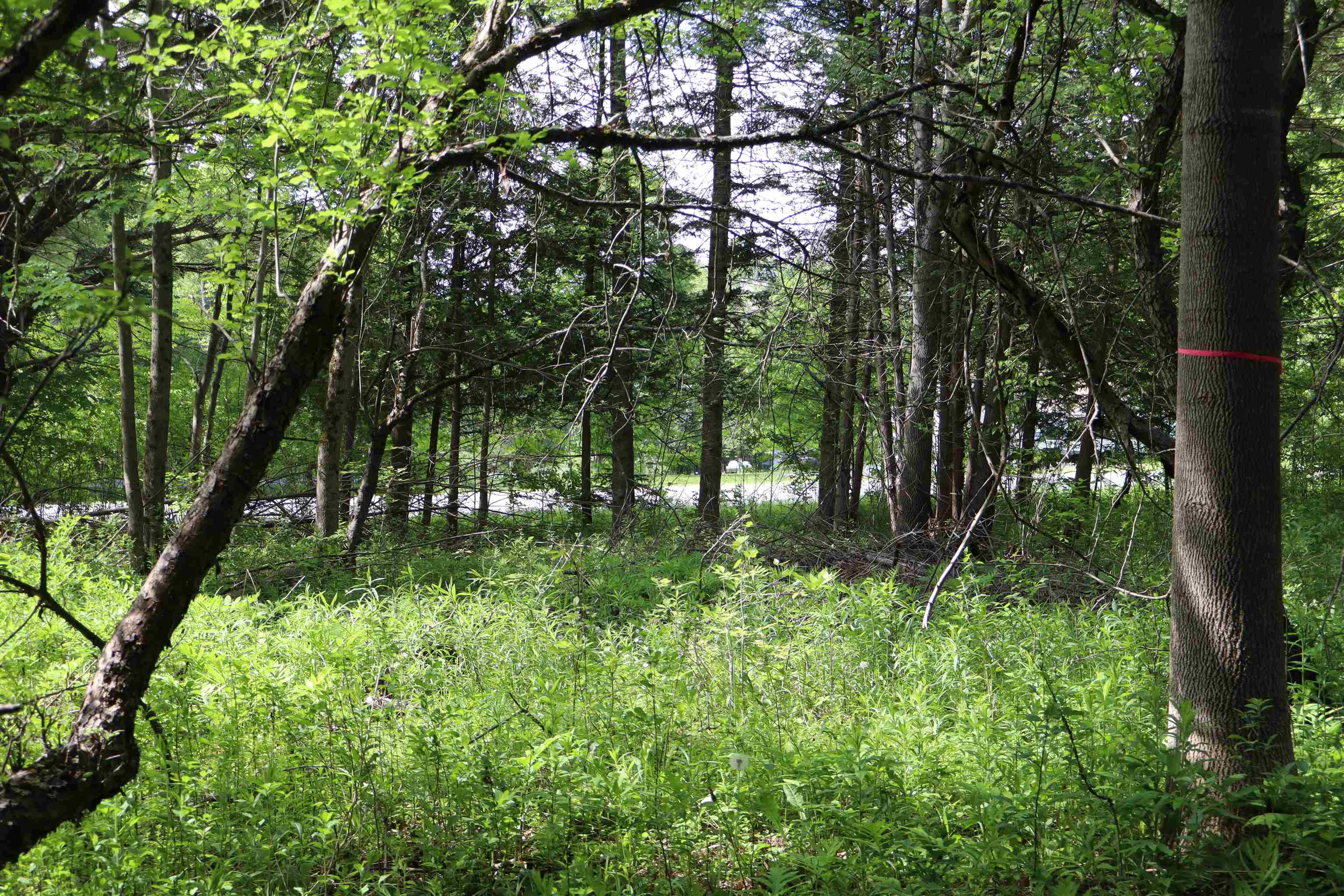 8 Goldsbury Woods Road Property Photo 19