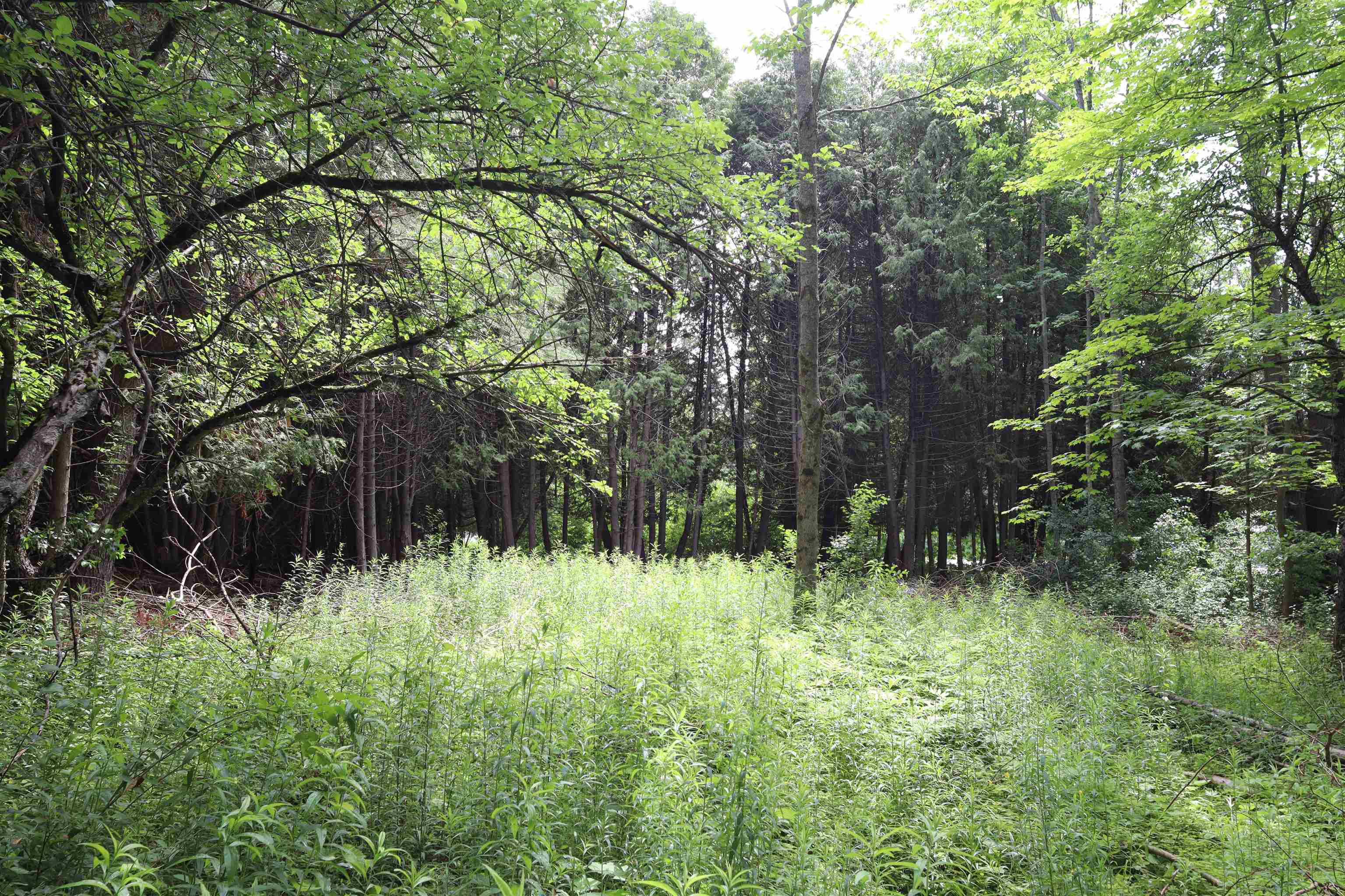 8 Goldsbury Woods Road Property Photo 20