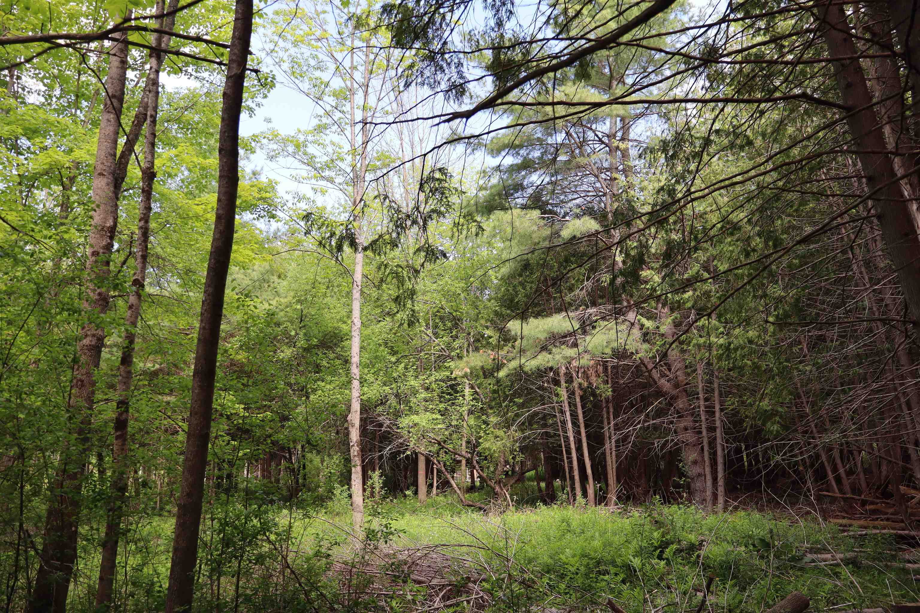 8 Goldsbury Woods Road Property Photo 22
