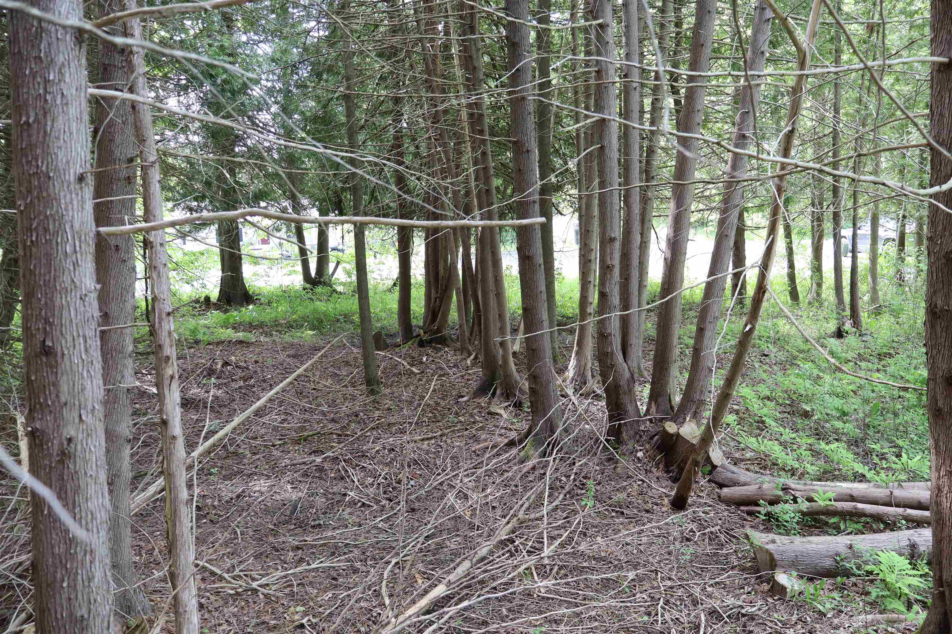 8 Goldsbury Woods Road Property Photo 23