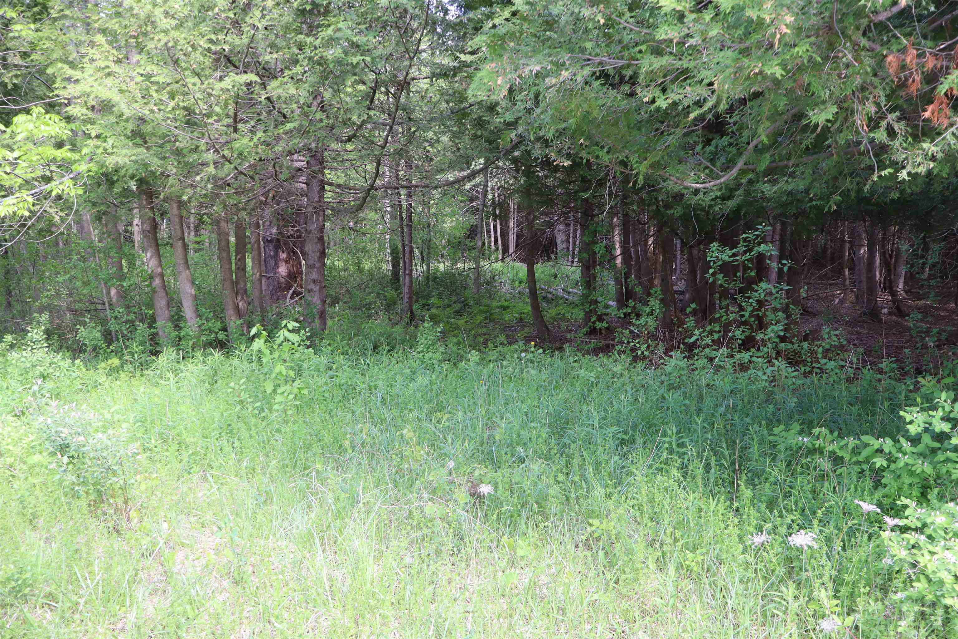 8 Goldsbury Woods Road Property Photo 25
