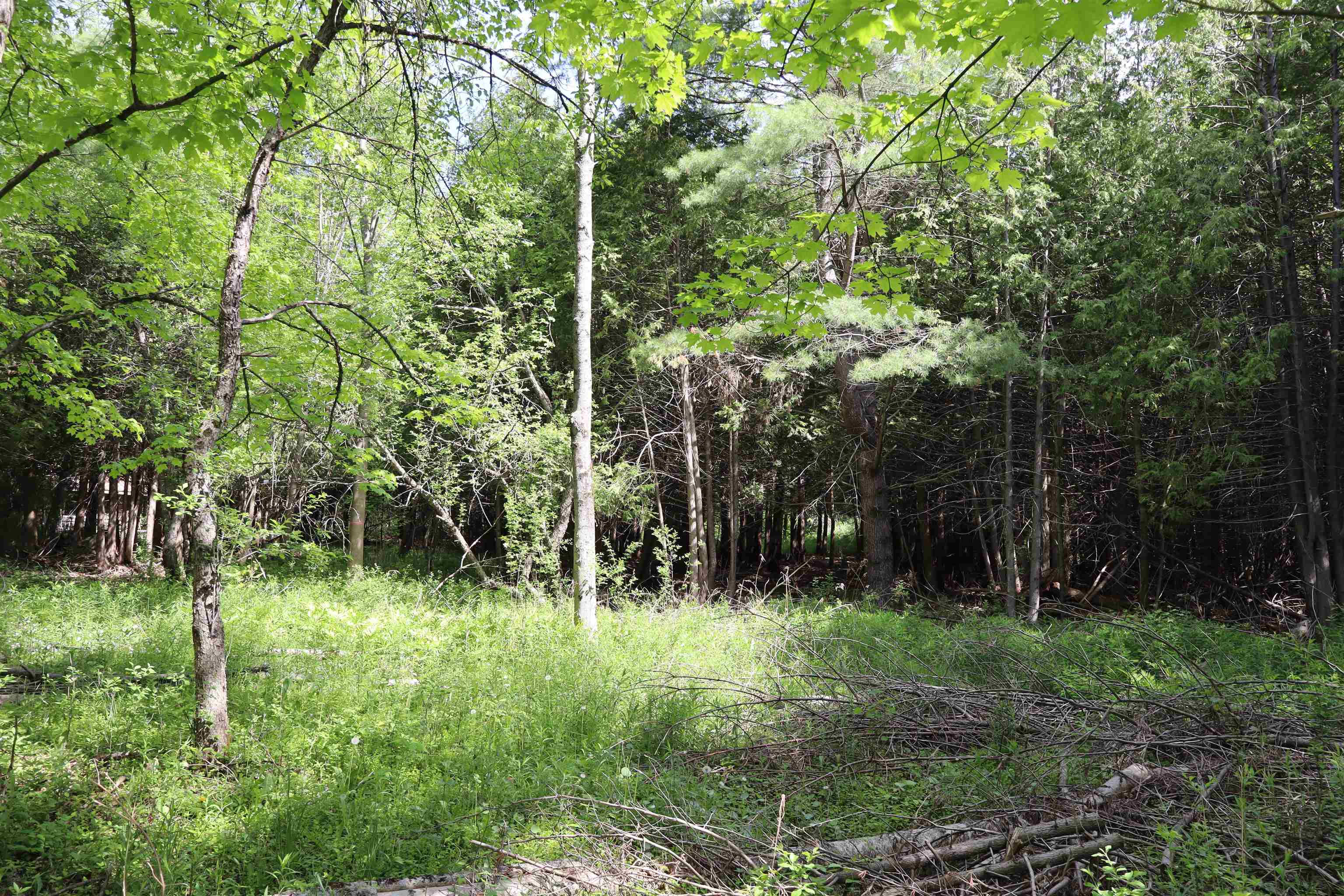 8 Goldsbury Woods Road Property Photo 27