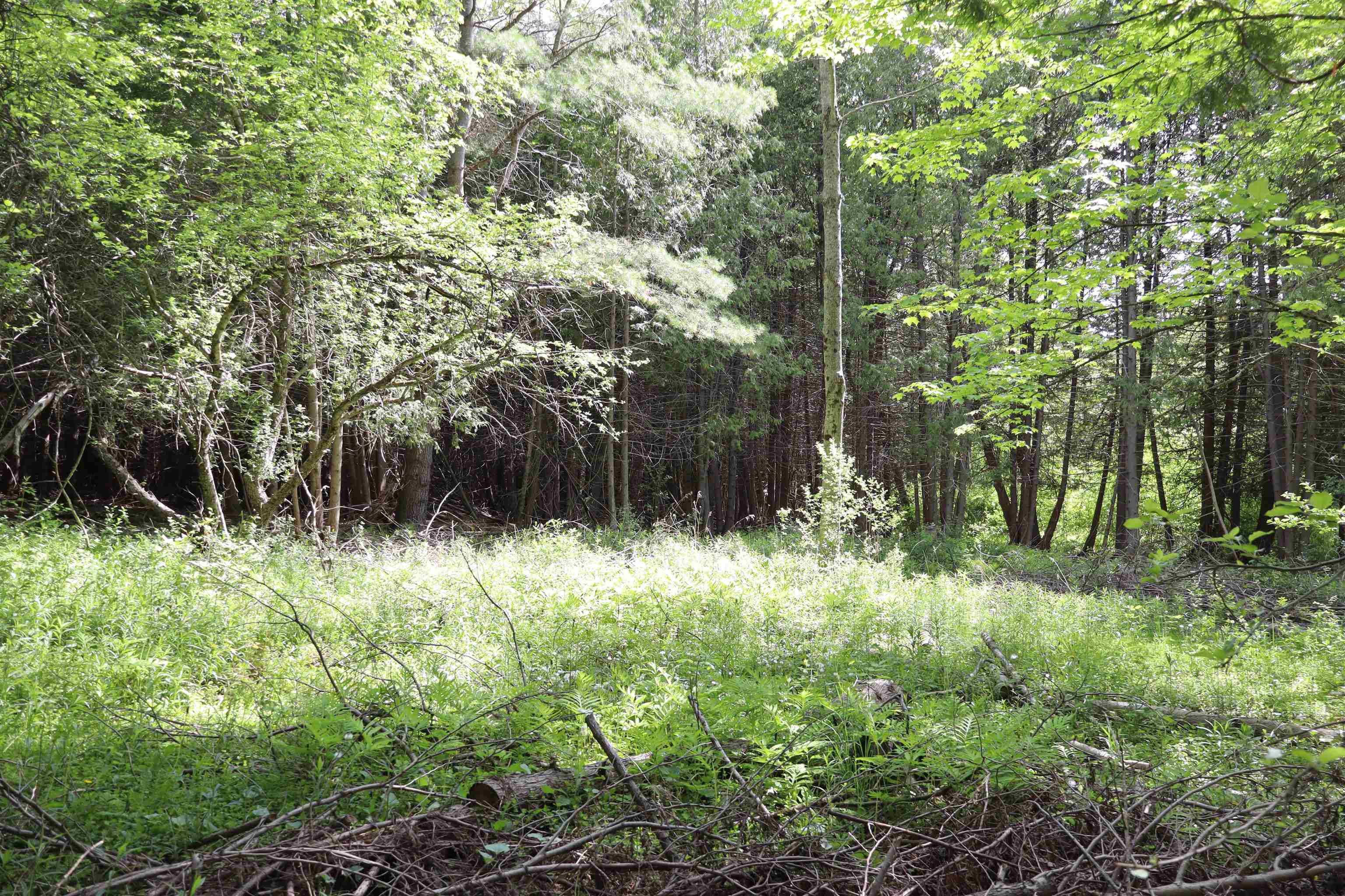8 Goldsbury Woods Road Property Photo 28