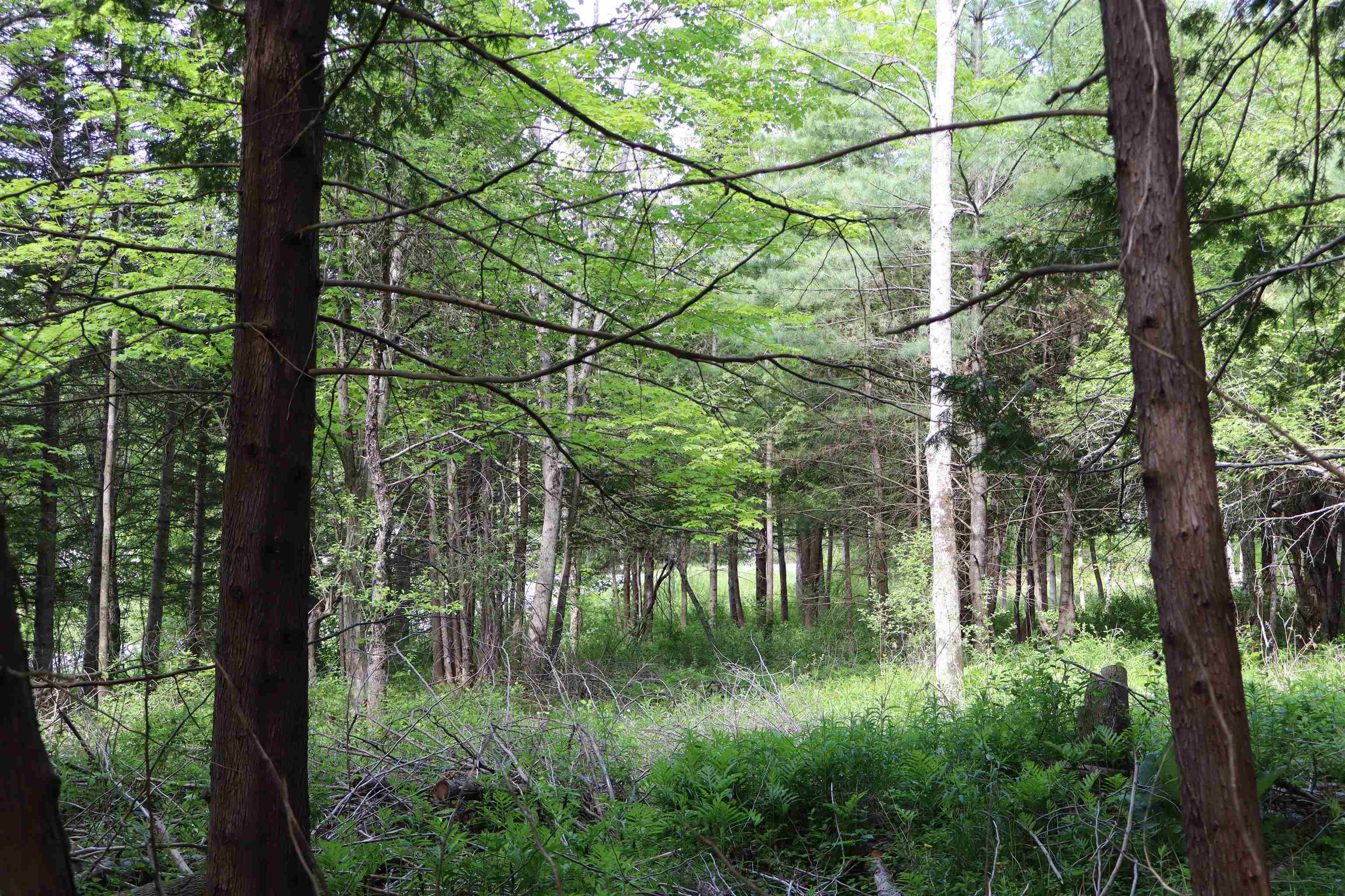 8 Goldsbury Woods Road Property Photo 30