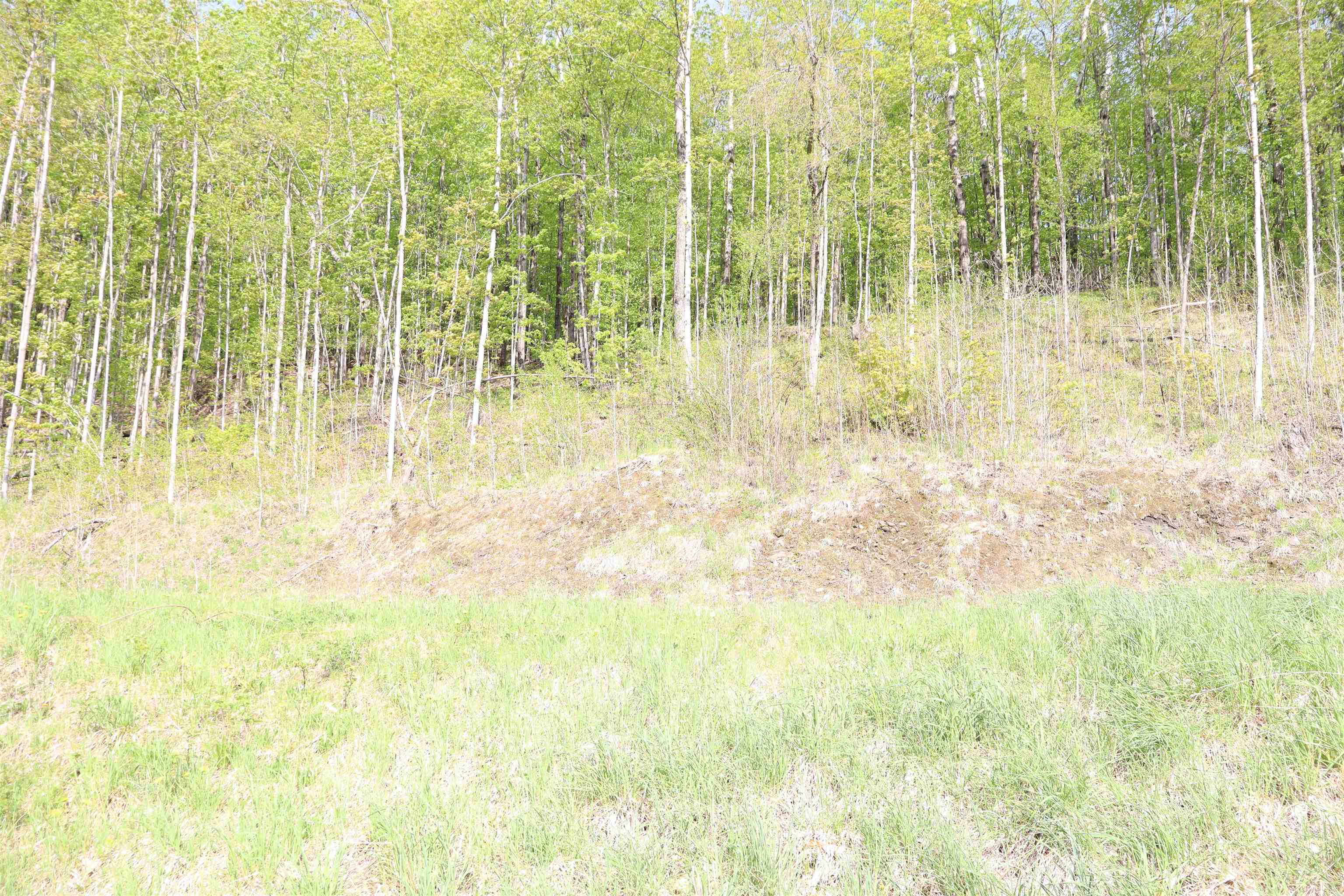 9 Maplewood Avenue Property Photo 4