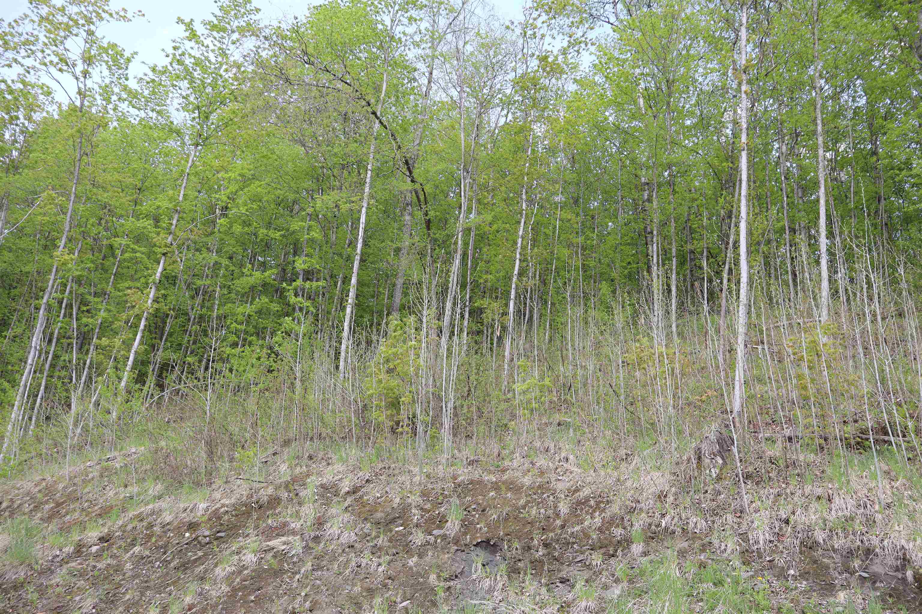 9 Maplewood Avenue Property Photo 7