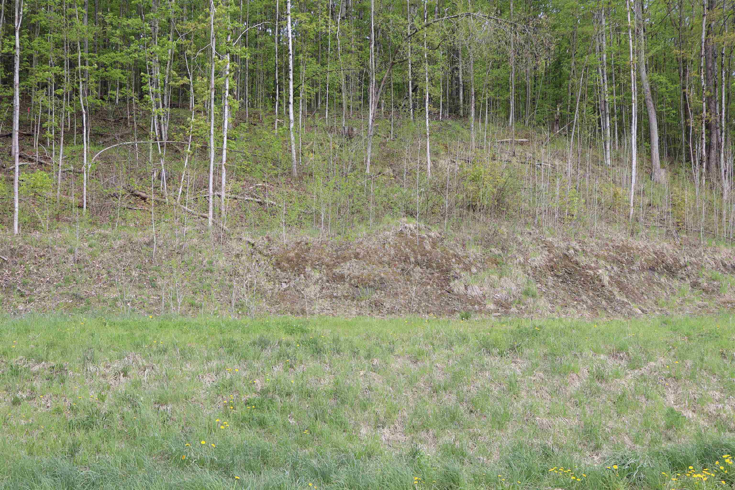 9 Maplewood Avenue Property Photo 8