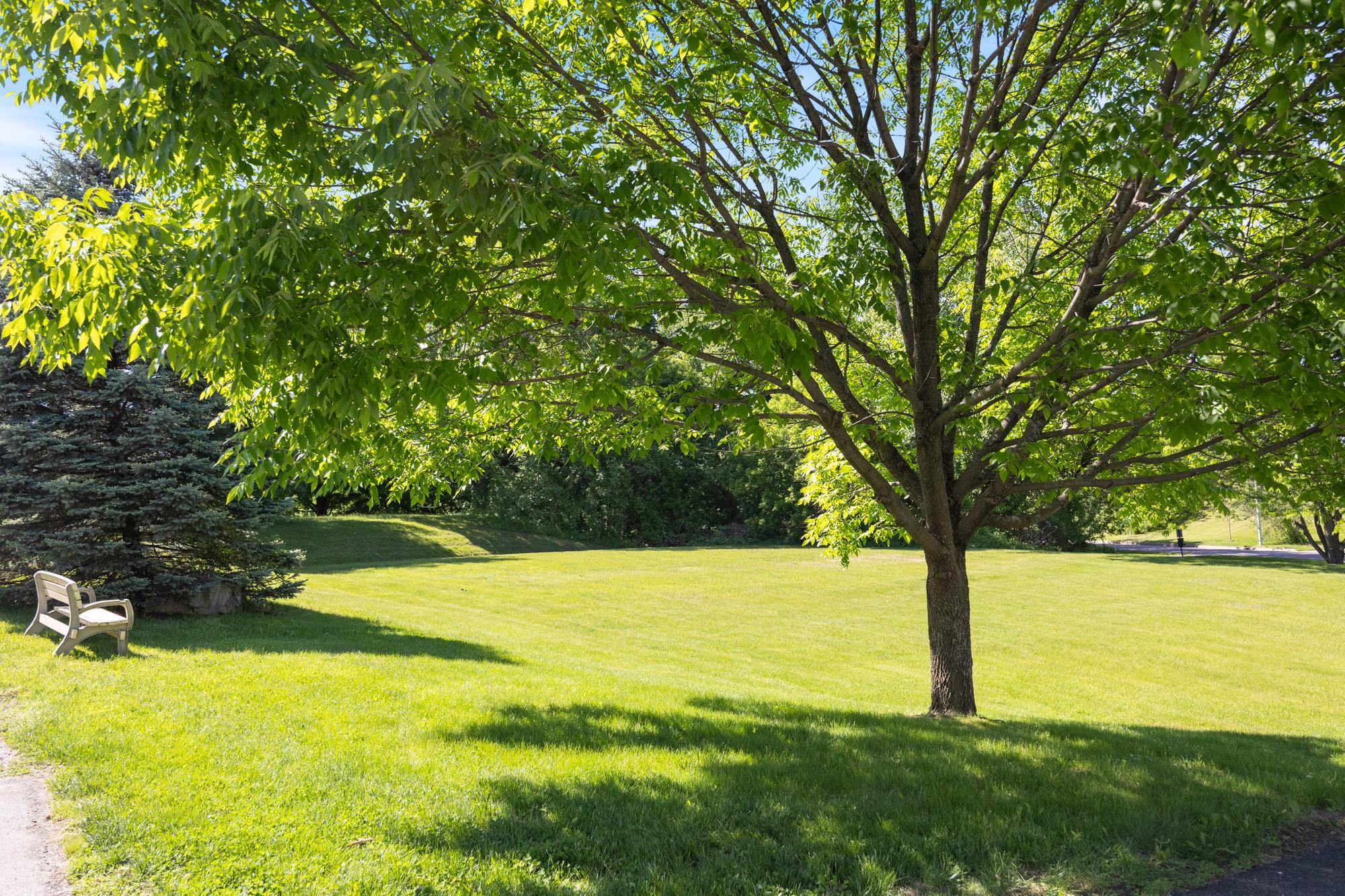 311 Abigail Drive Property Photo 3