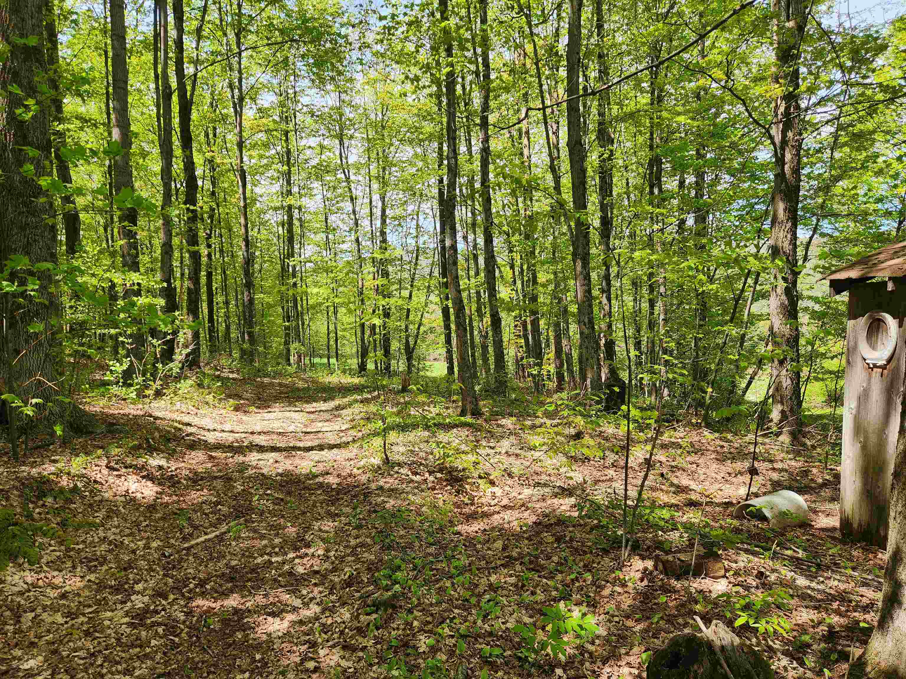 3517 Colvin Hill Road Property Photo 14