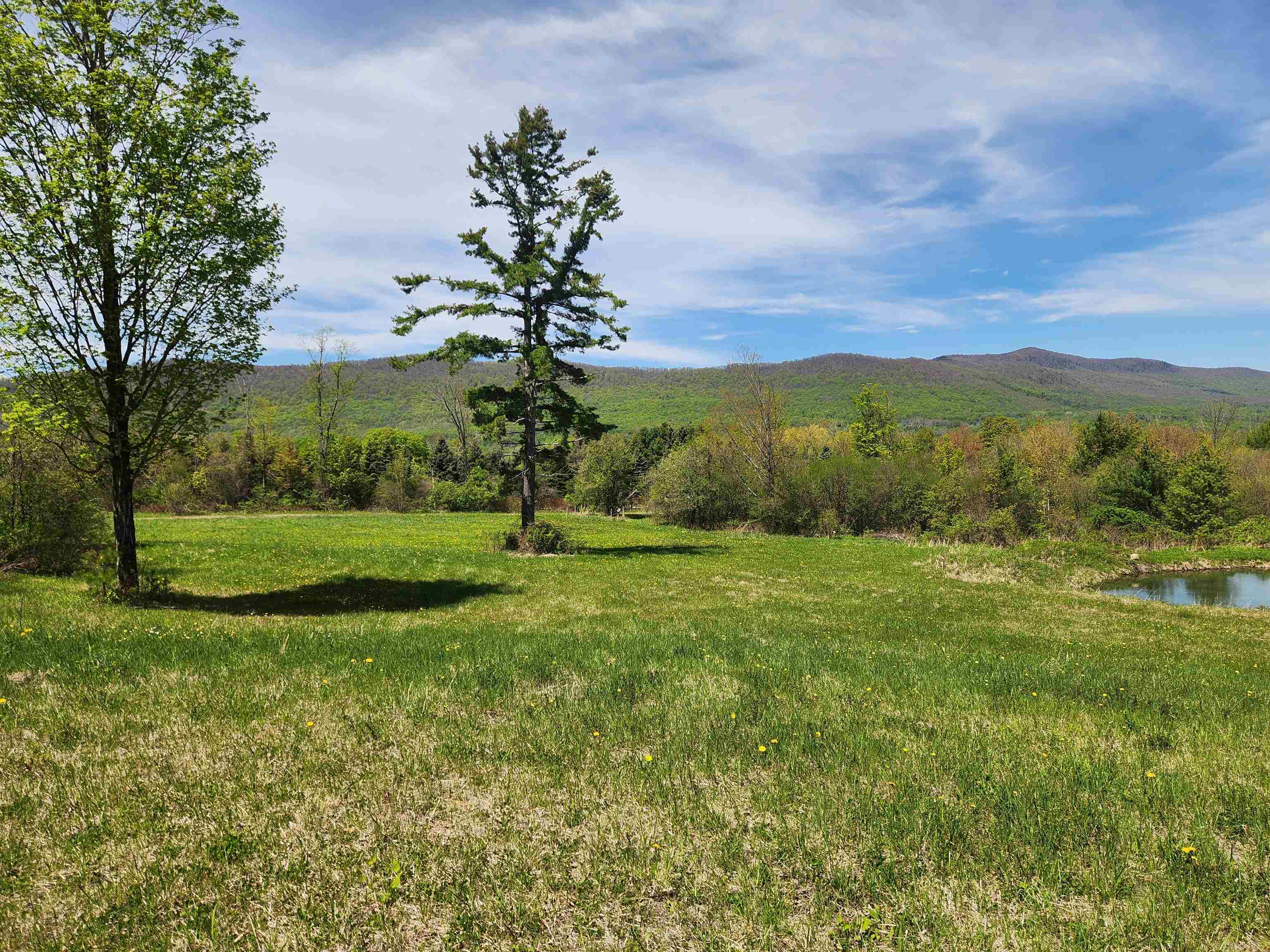 3517 Colvin Hill Road Property Photo 17
