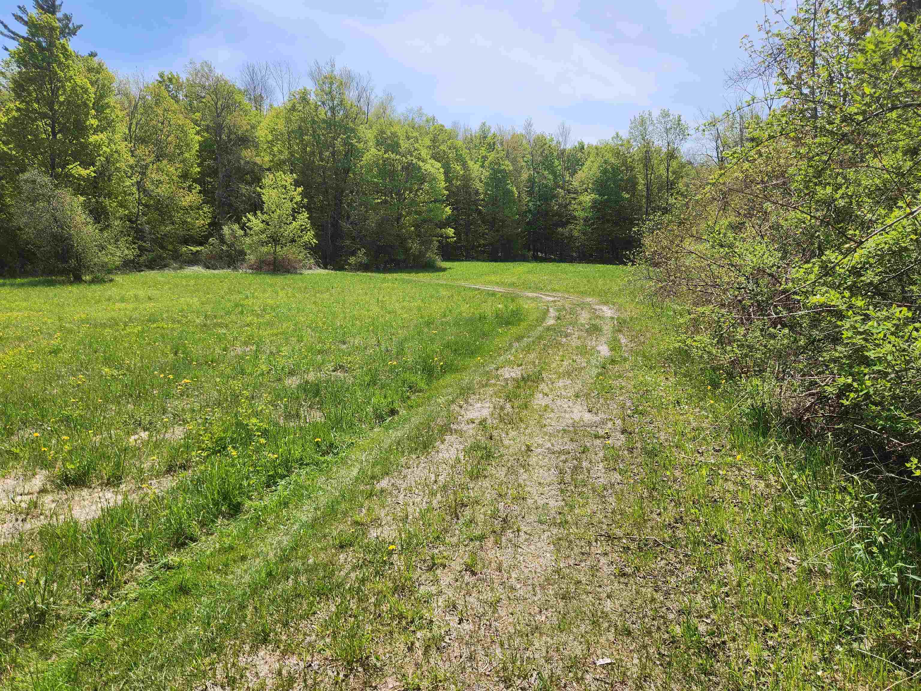 3517 Colvin Hill Road Property Photo 20