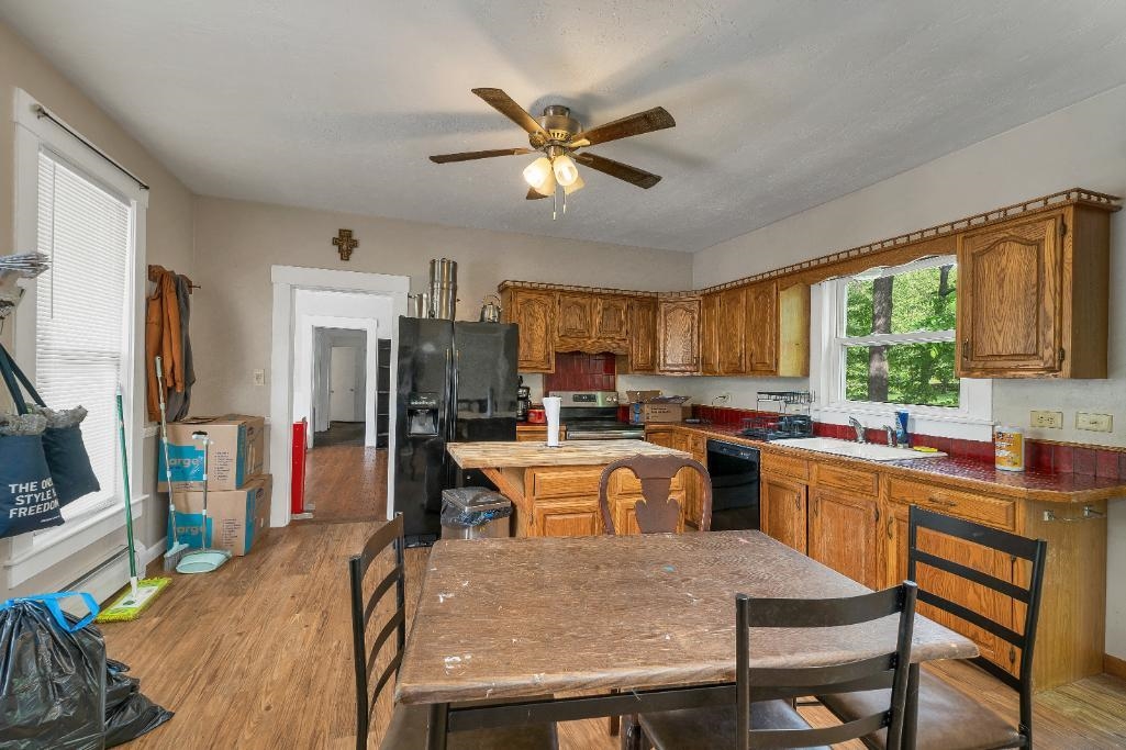 8 Lewis Street Property Photo 21