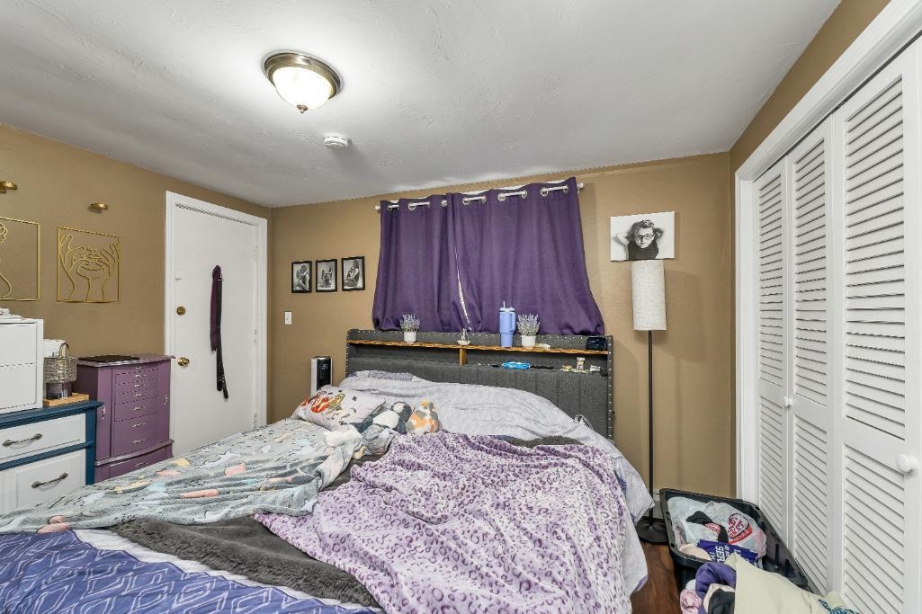 8 Lewis Street Property Photo 30