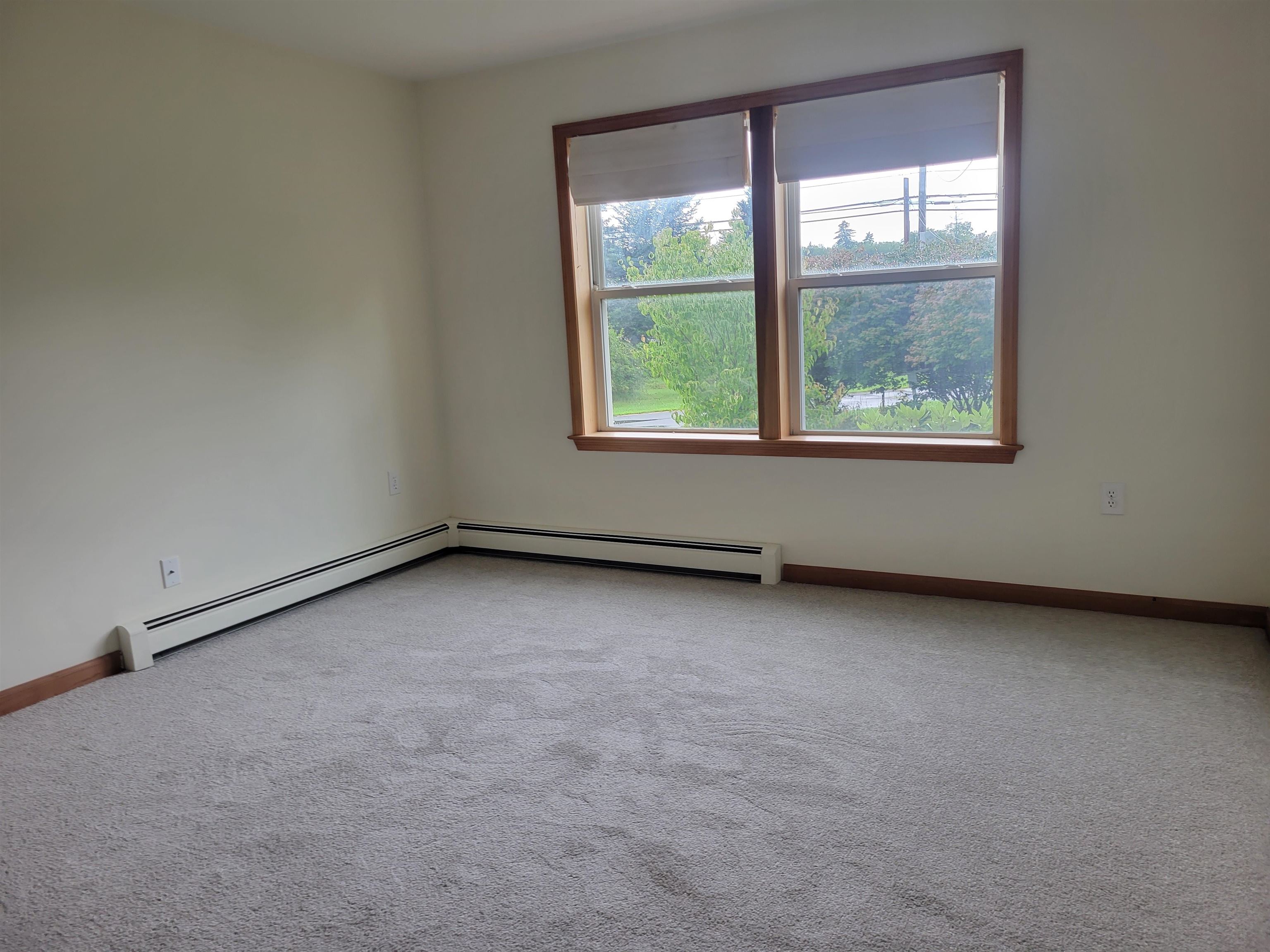 42 Chester Road Property Photo 13