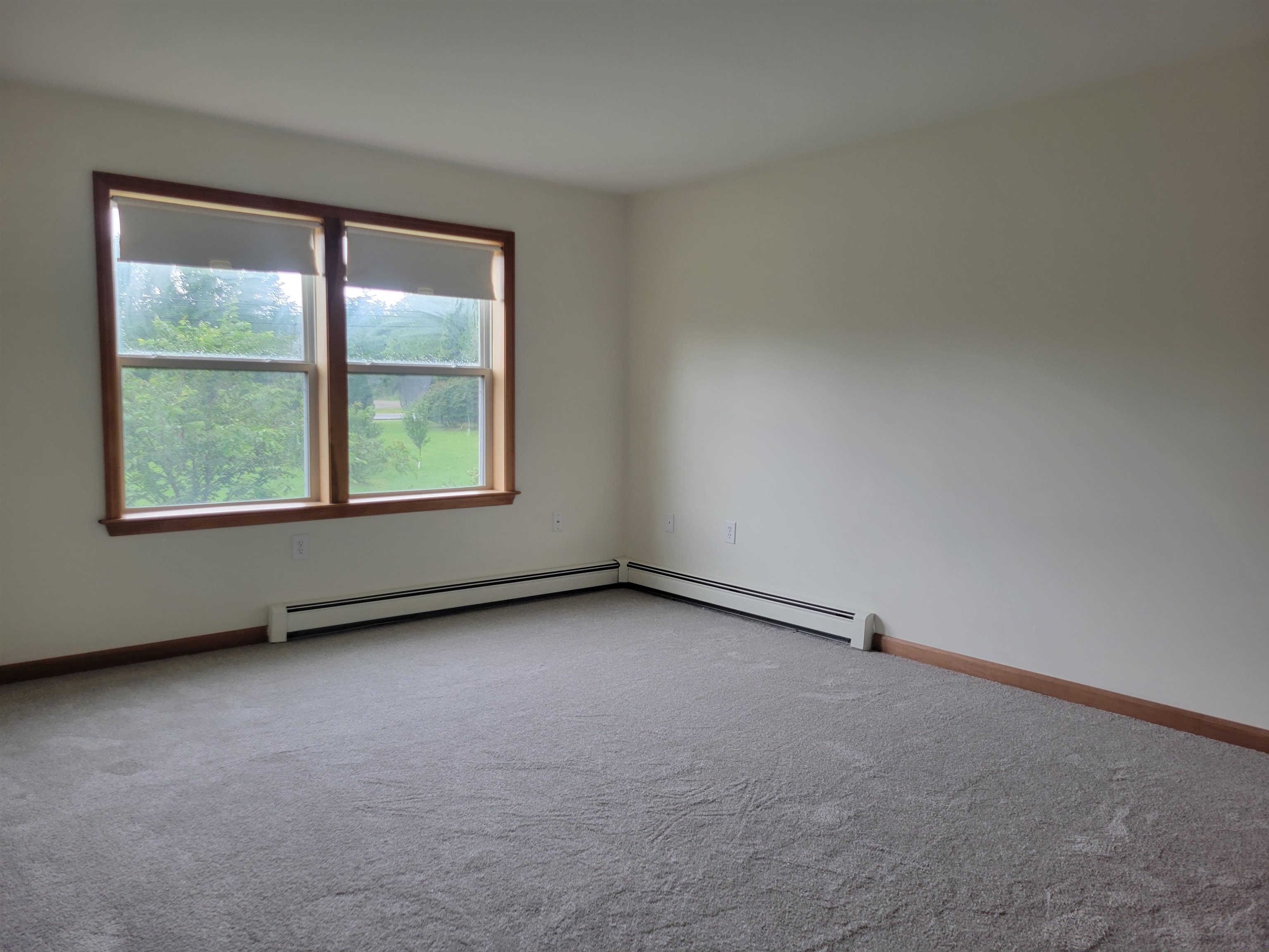 42 Chester Road Property Photo 15