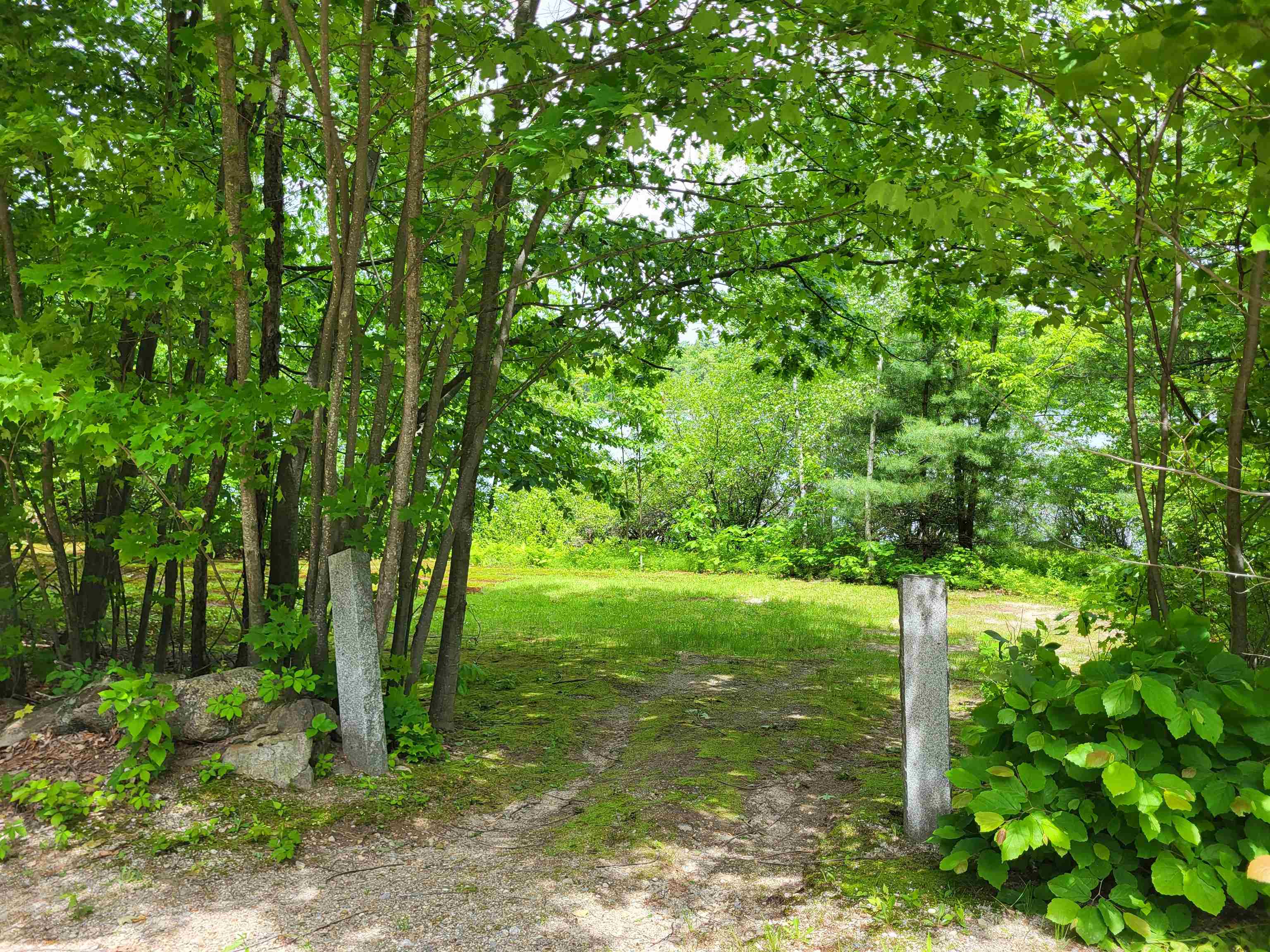 136 Martin Road Property Photo 3