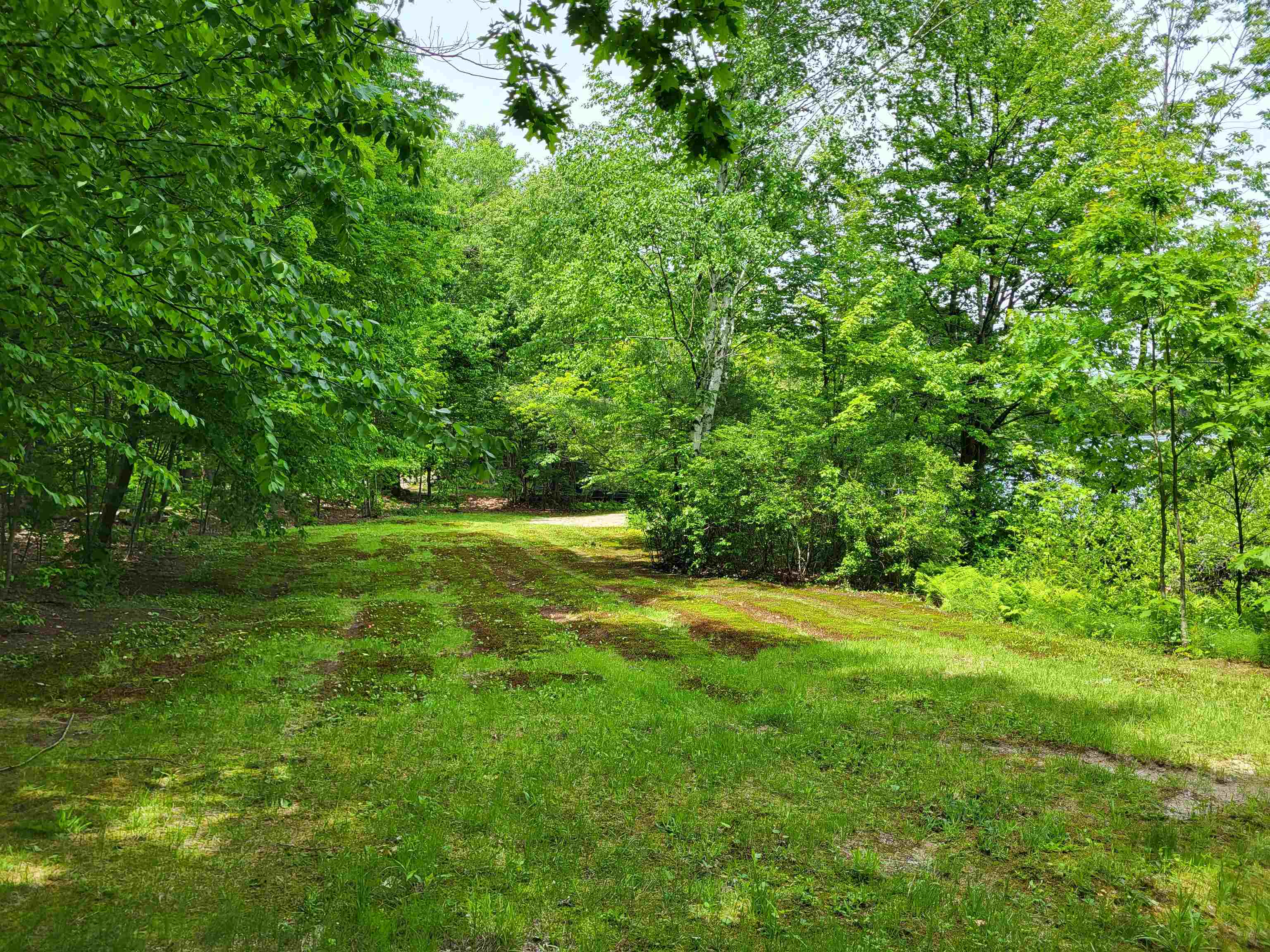 136 Martin Road Property Photo 4
