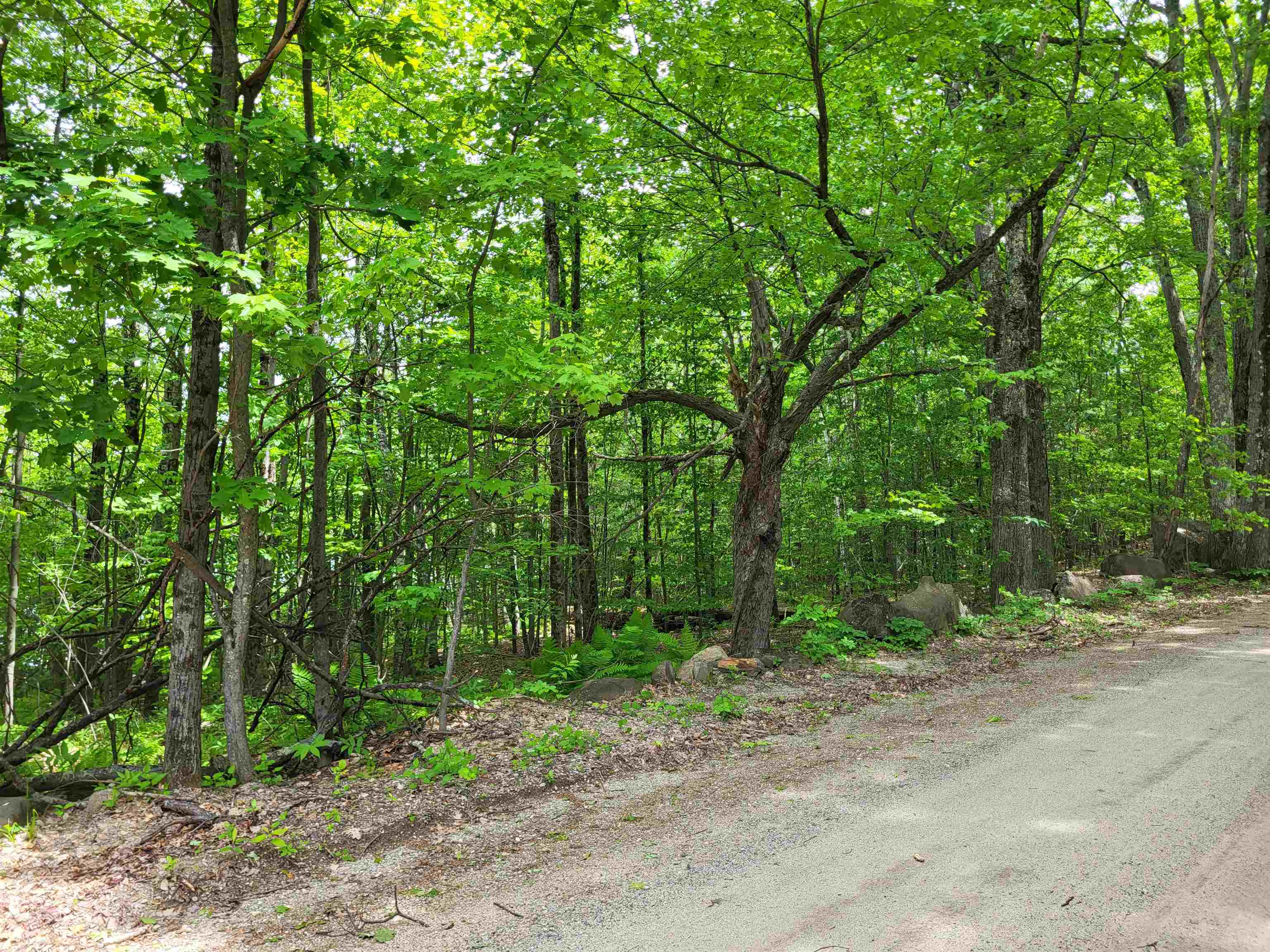 136 Martin Road Property Photo 6
