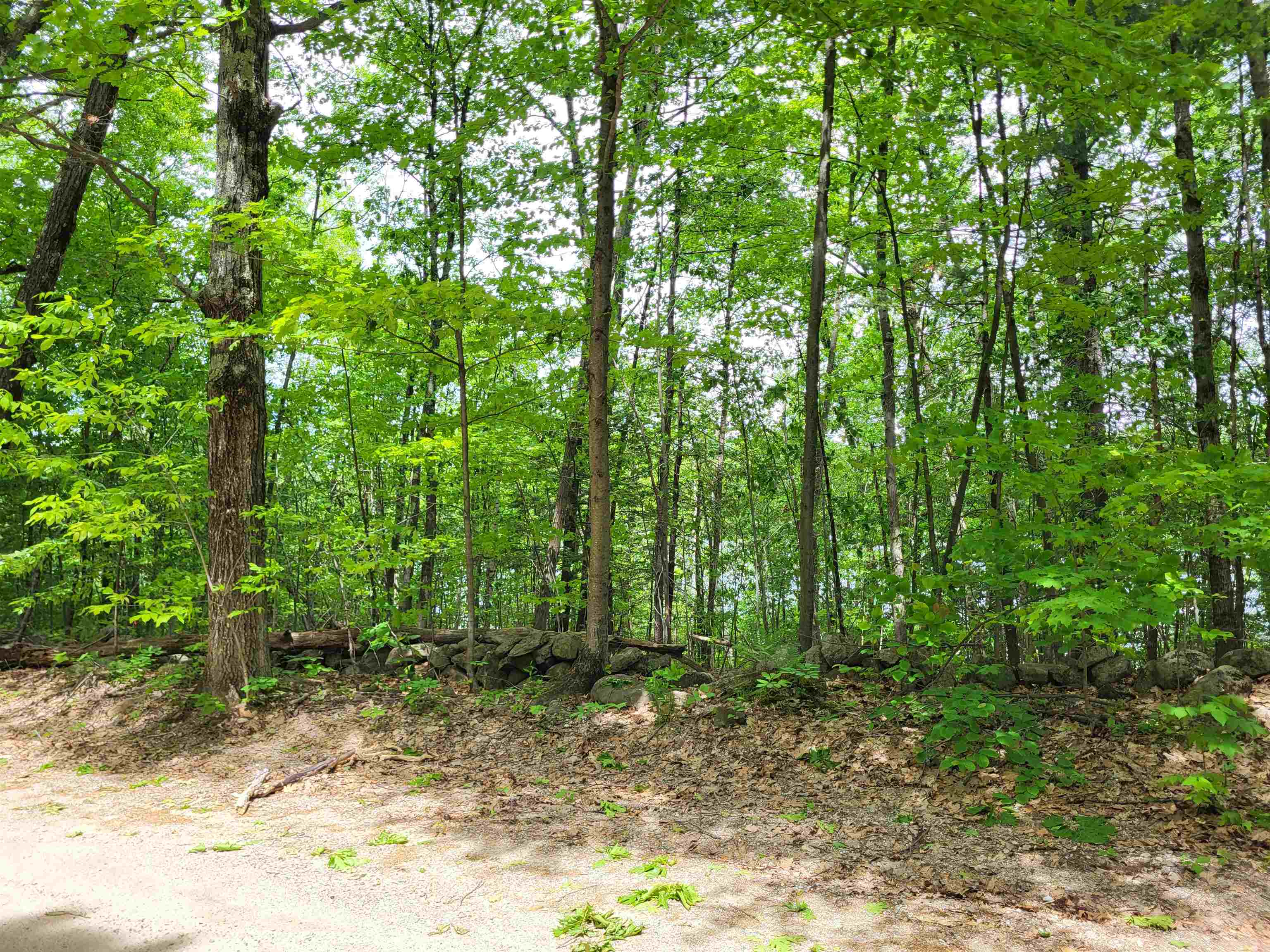 136 Martin Road Property Photo 10