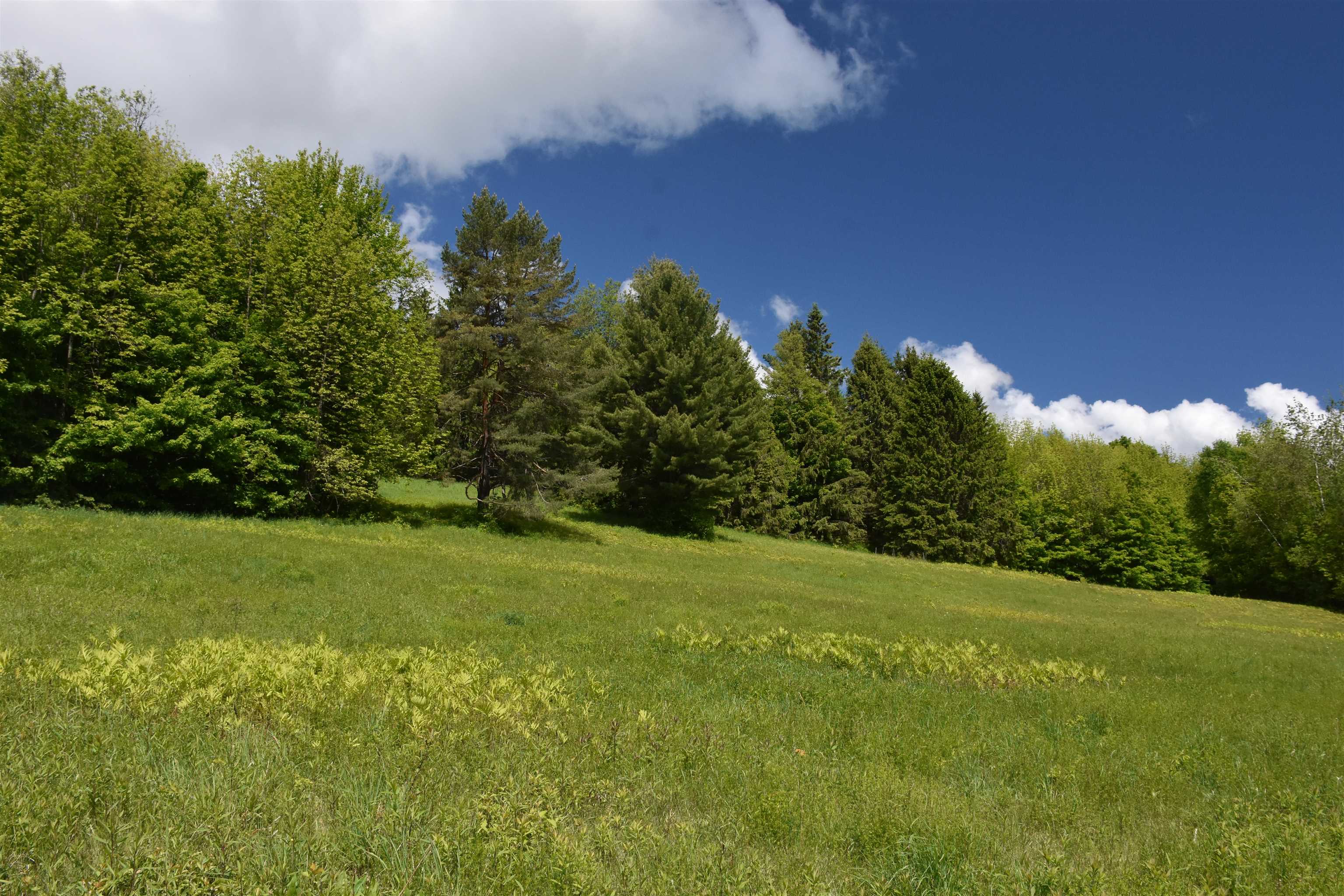 1574 Weir Road Property Photo 40