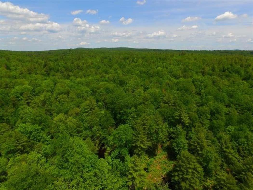401 Sixth Range Road Property Photo 3