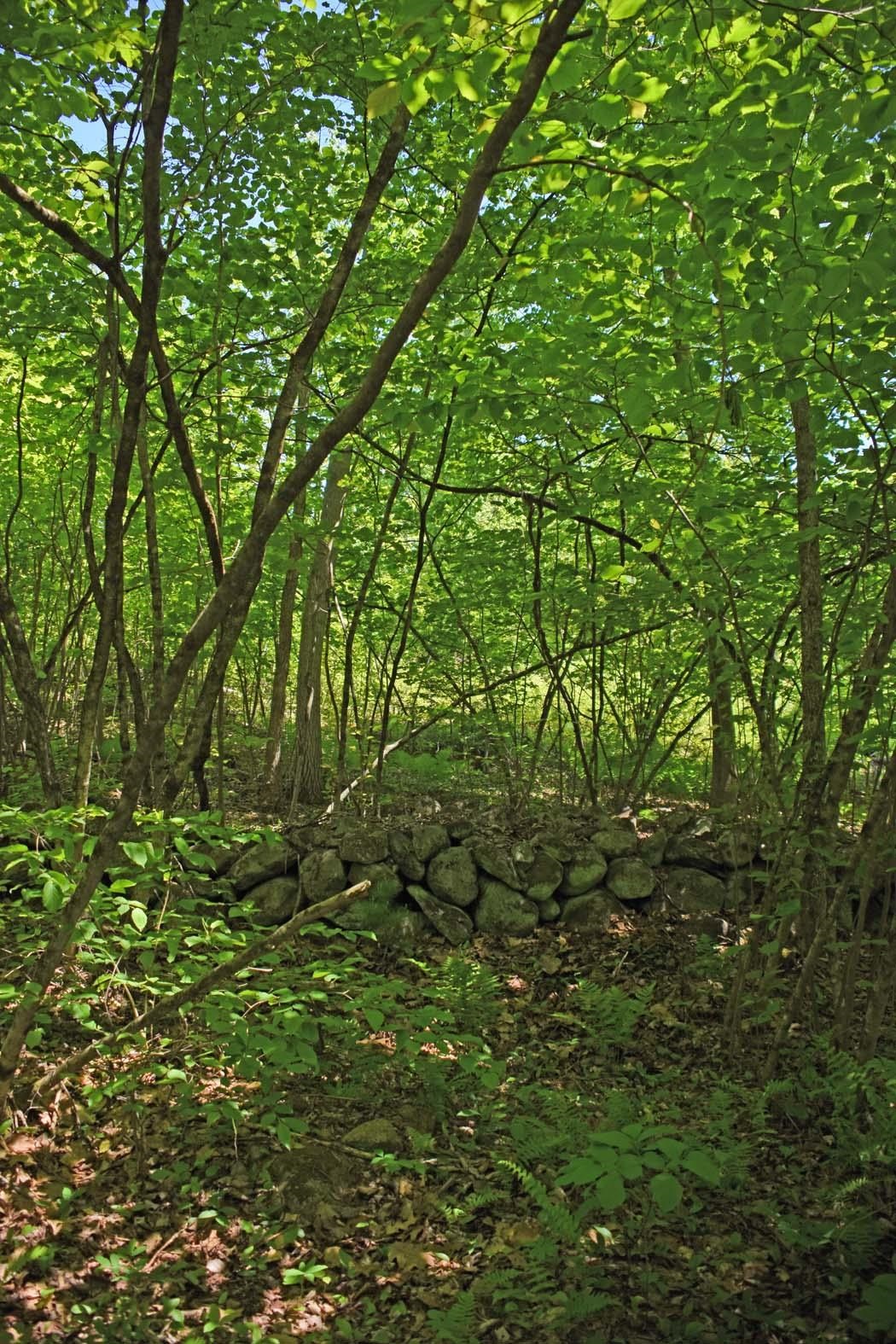 401 Sixth Range Road Property Photo 5