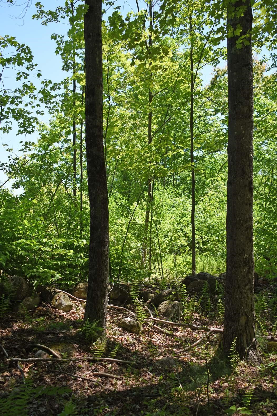 401 Sixth Range Road Property Photo 6