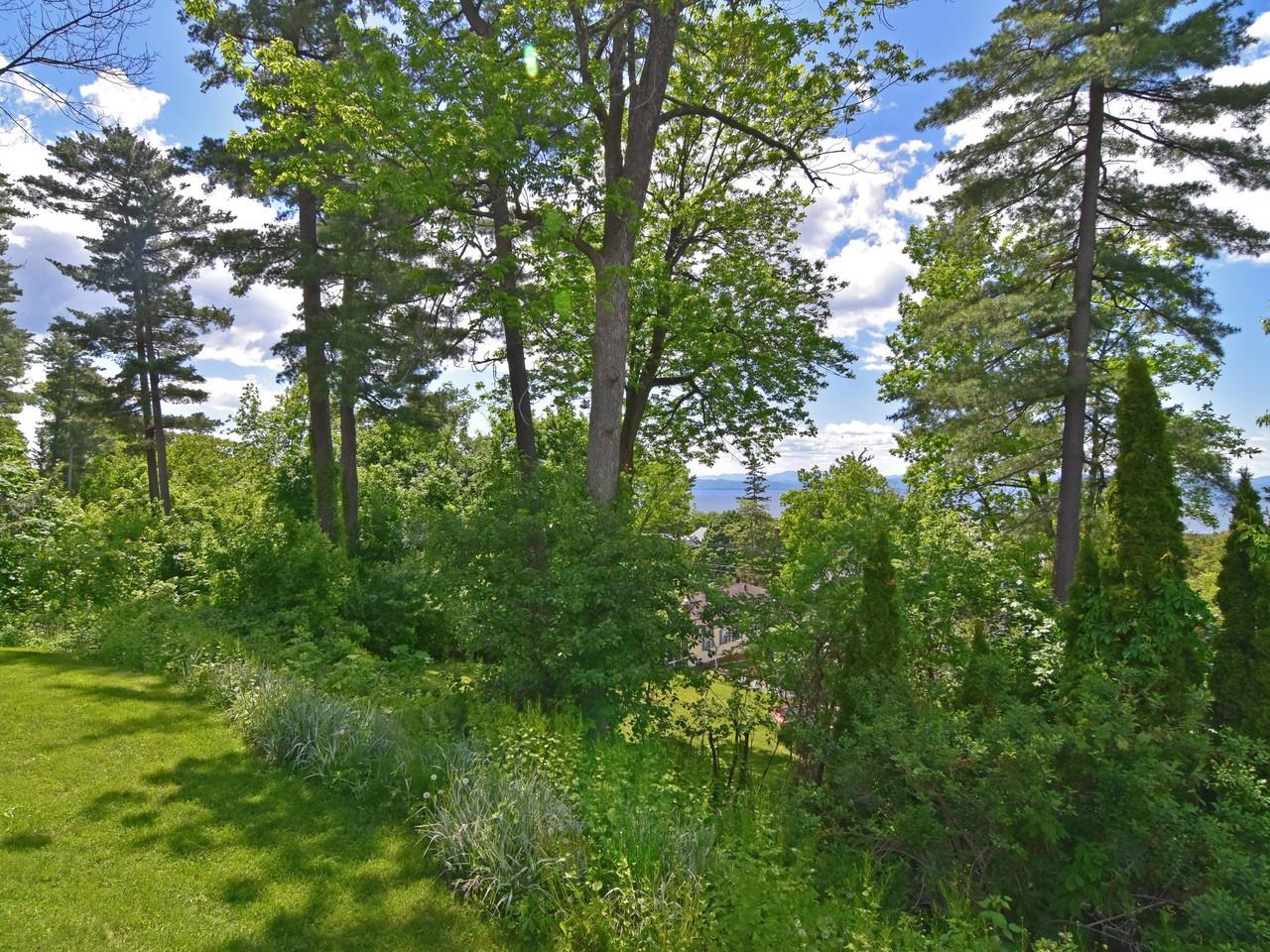 33 Summit Ridge Property Photo 41