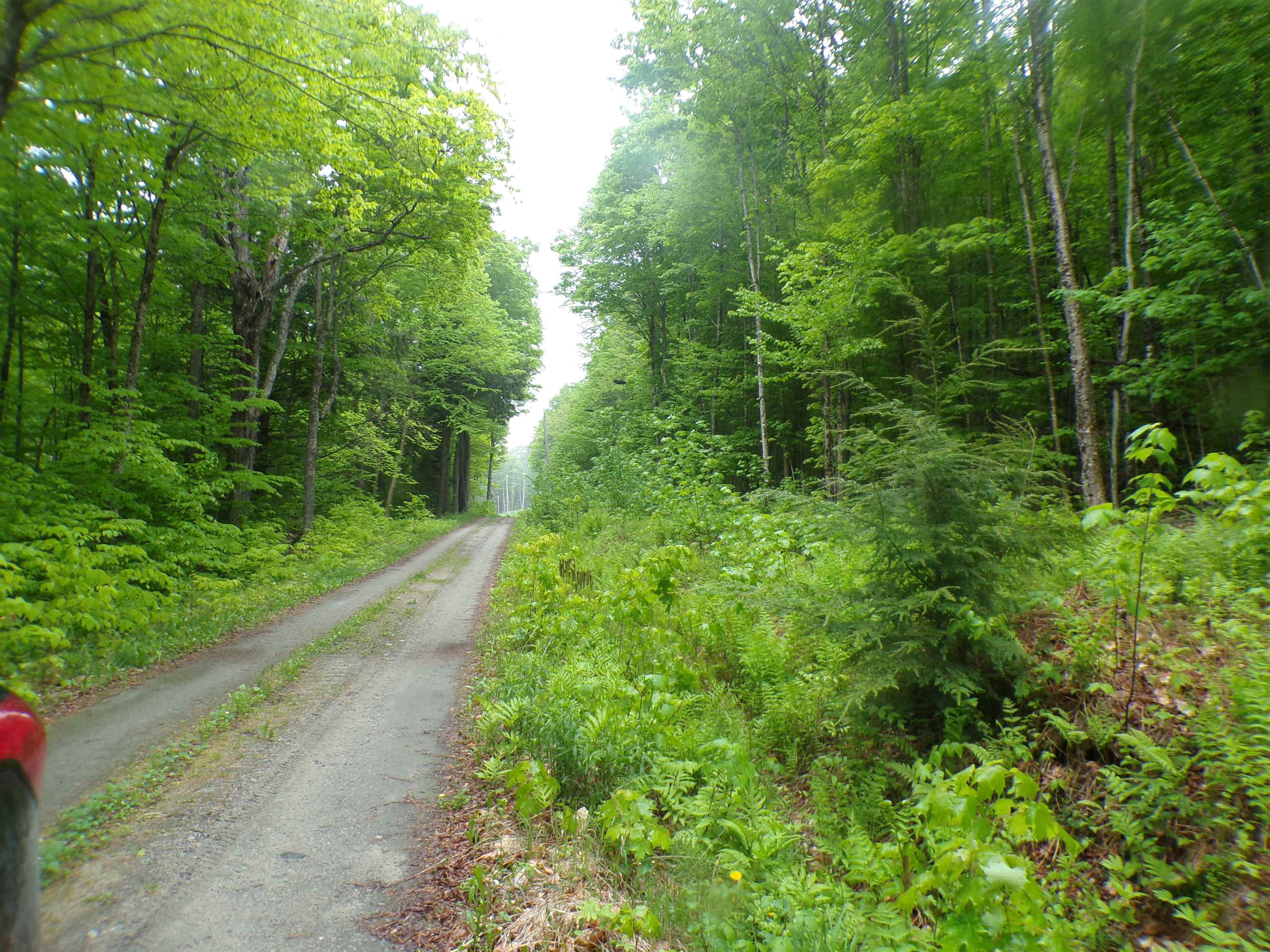 0 Foliage Lane Property Photo 2