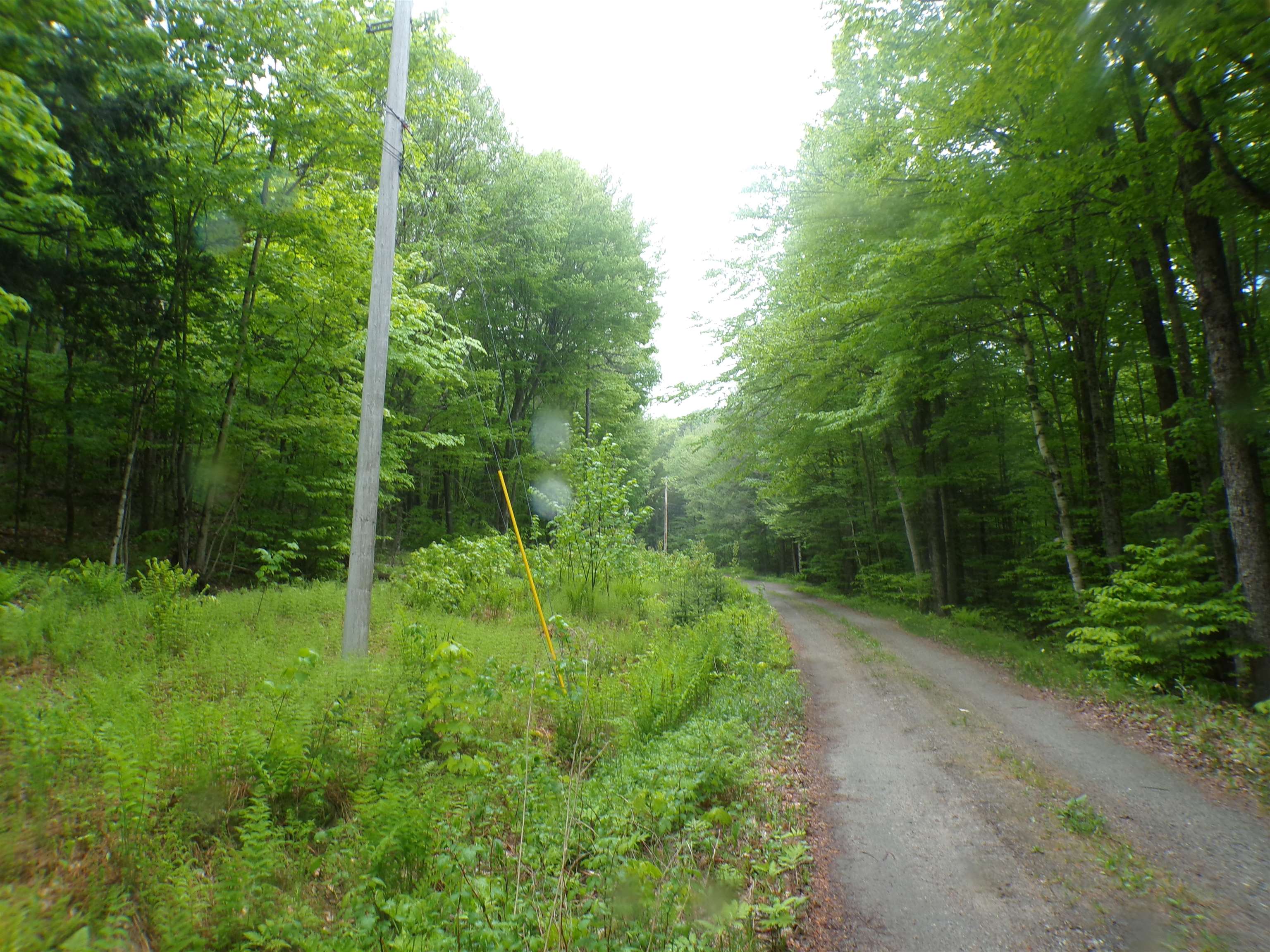 0 Foliage Lane Property Photo 3