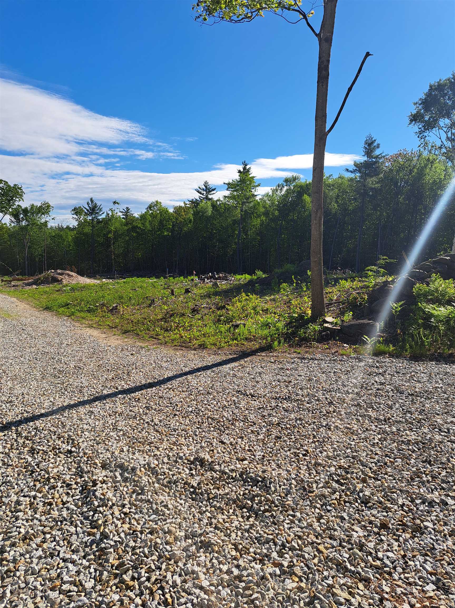 140 Great Road Property Photo 9