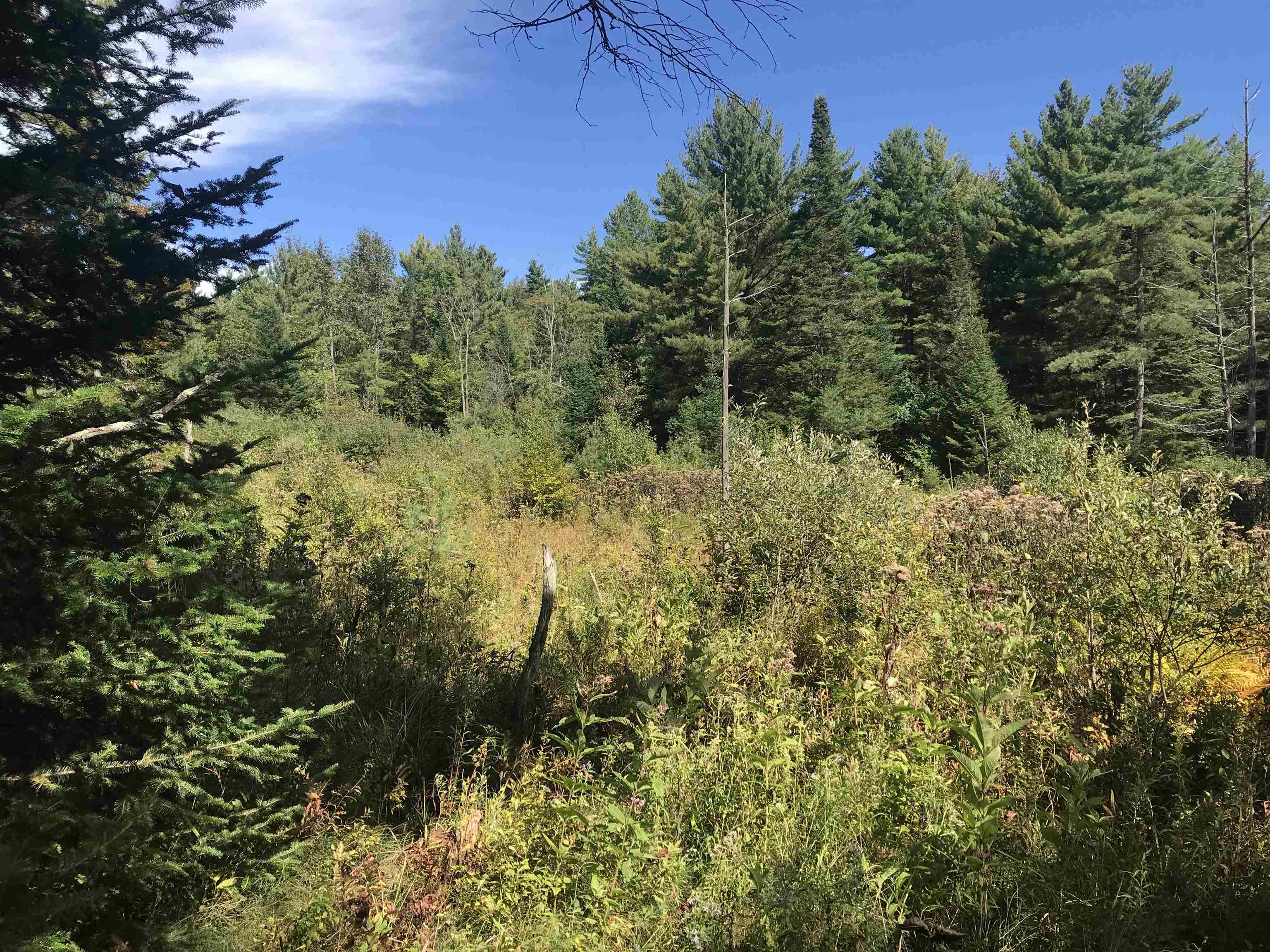 690 High Ridge Road Property Photo 10