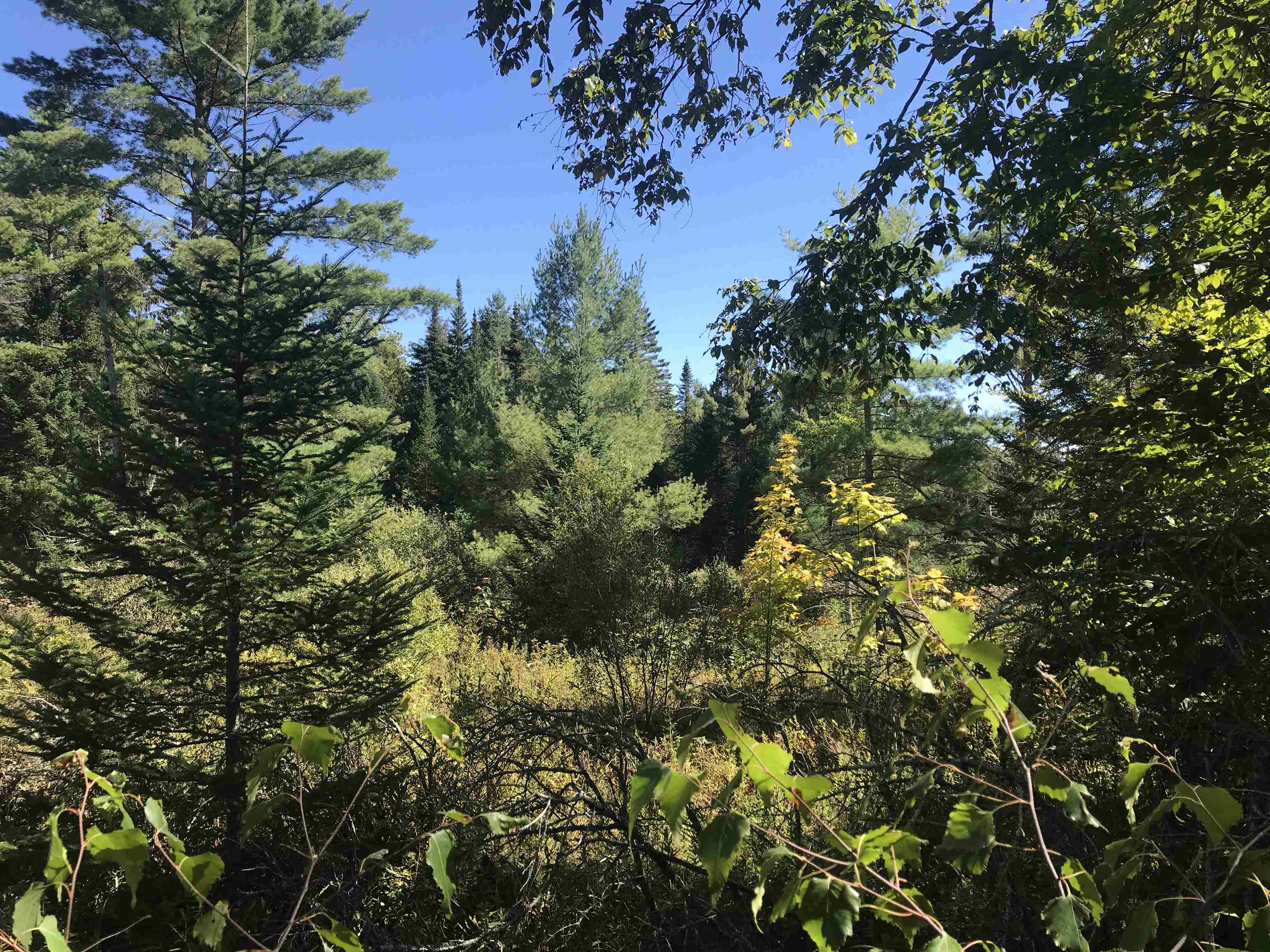 690 High Ridge Road Property Photo 12